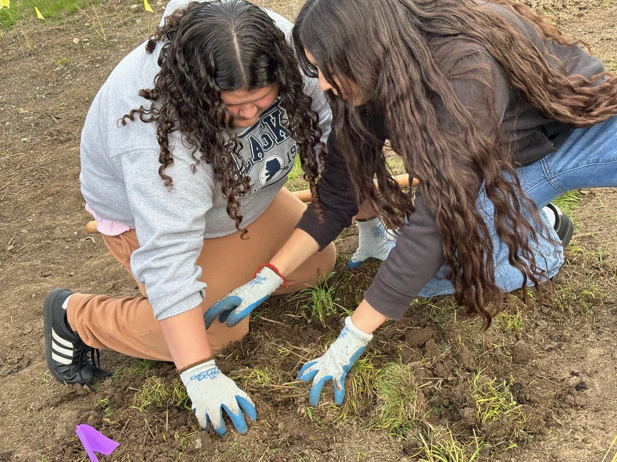 Two teenagers planting a small tree together in the soil outdoors.