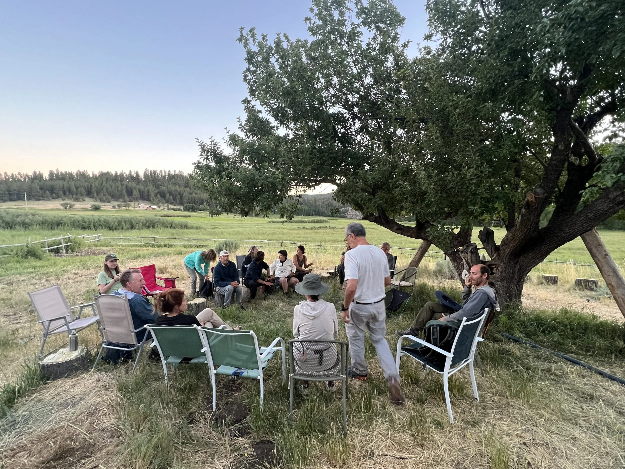 A group of people gathered outdoors under a large tree, sitting on chairs in a semi-circle, engaged in a discussion or meeting on a grassy area with fields and trees in the background during dusk.