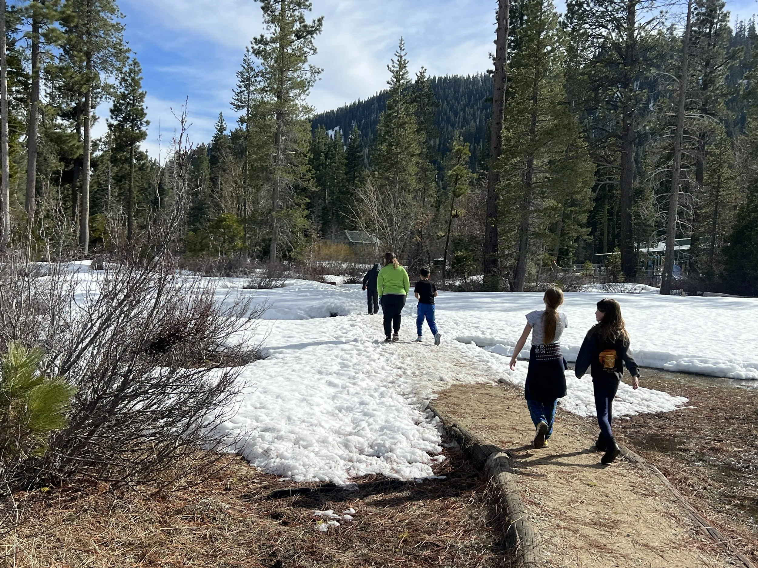 1 adult and 4 children walking with their backs to the camera along a dirt and snow covered trail, with snow on the ground and tall trees in the background. 