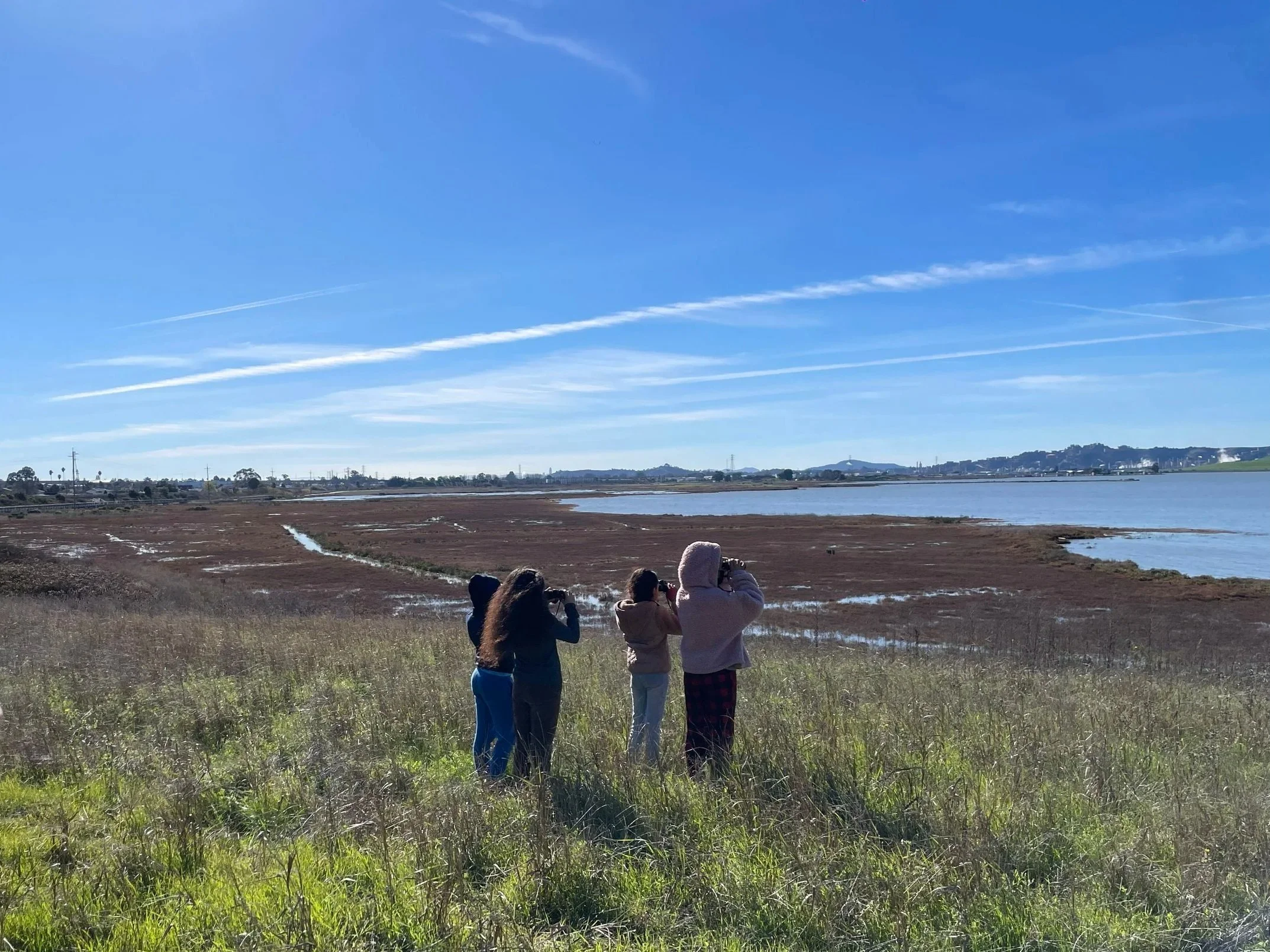 Four people standing in grass looking through binoculars at a wetland with water and marshland, with a distant city skyline and blue sky with white clouds in the background.
