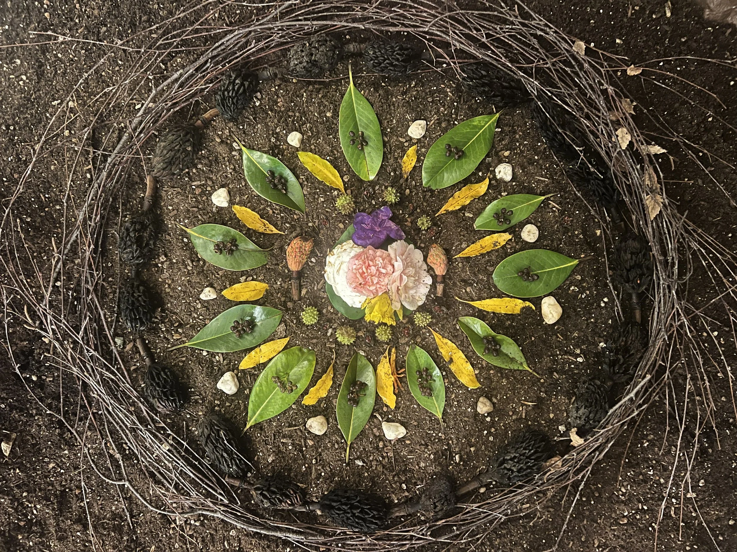 A nature mandala on soil, in a circle made of twigs and cones, with a pattern of green, yellow and white leaves and green and red berries with pink, white and purple flowers in the center. 