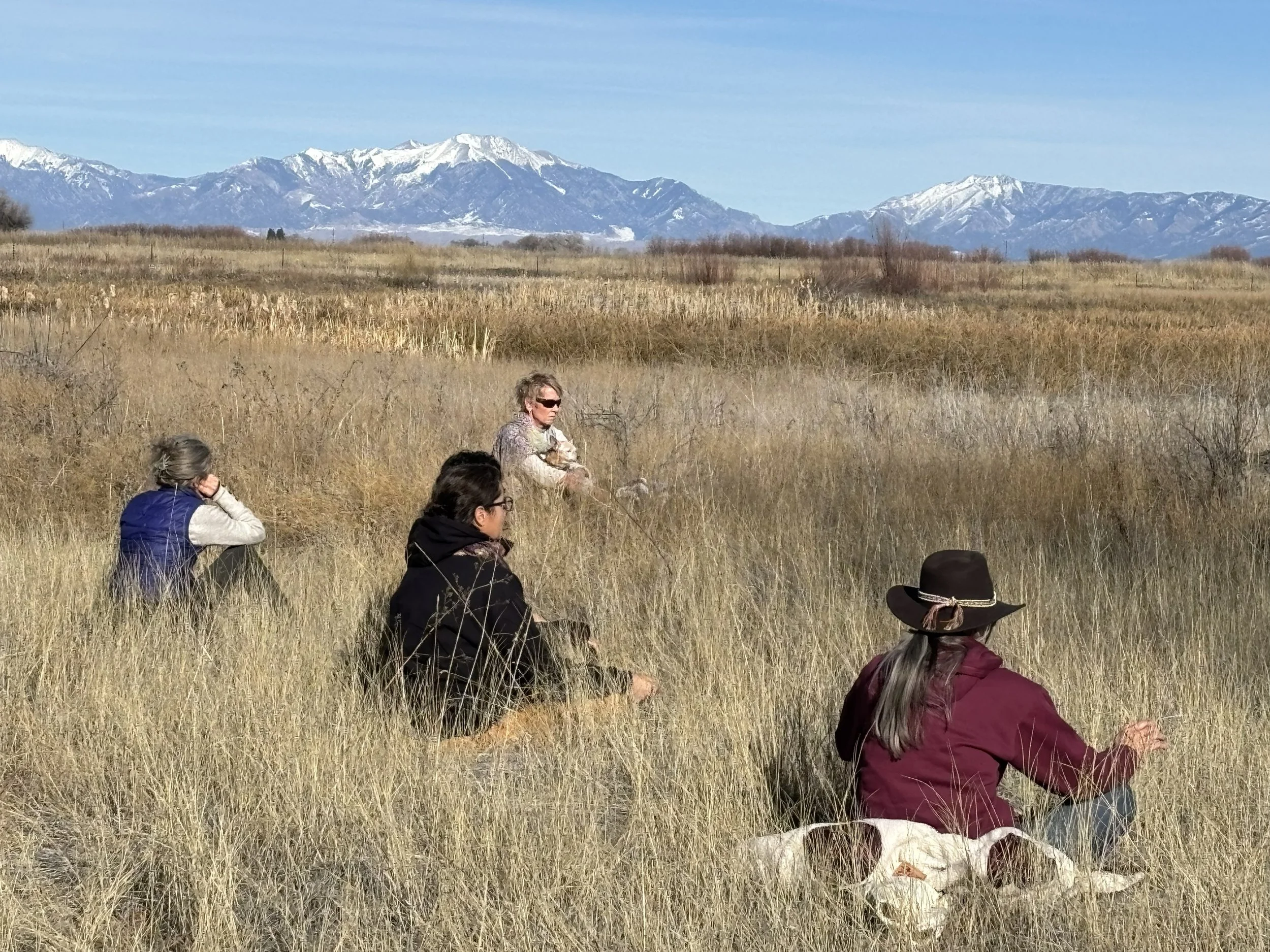 Four people sitting and meditating in tall brown grasses with snow capped mounts and a clear blue sky in the background. 