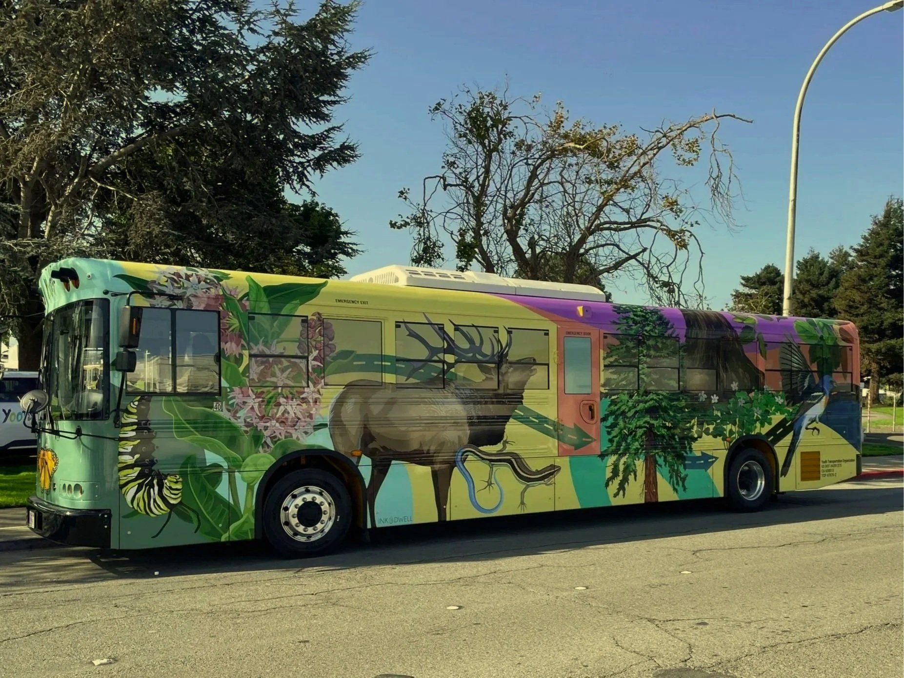 School bus painted with a caterpillar, redwood tree, flowers, elk, monarch butterfly and salamander with bright background colors of yellow, pink, purple and green.