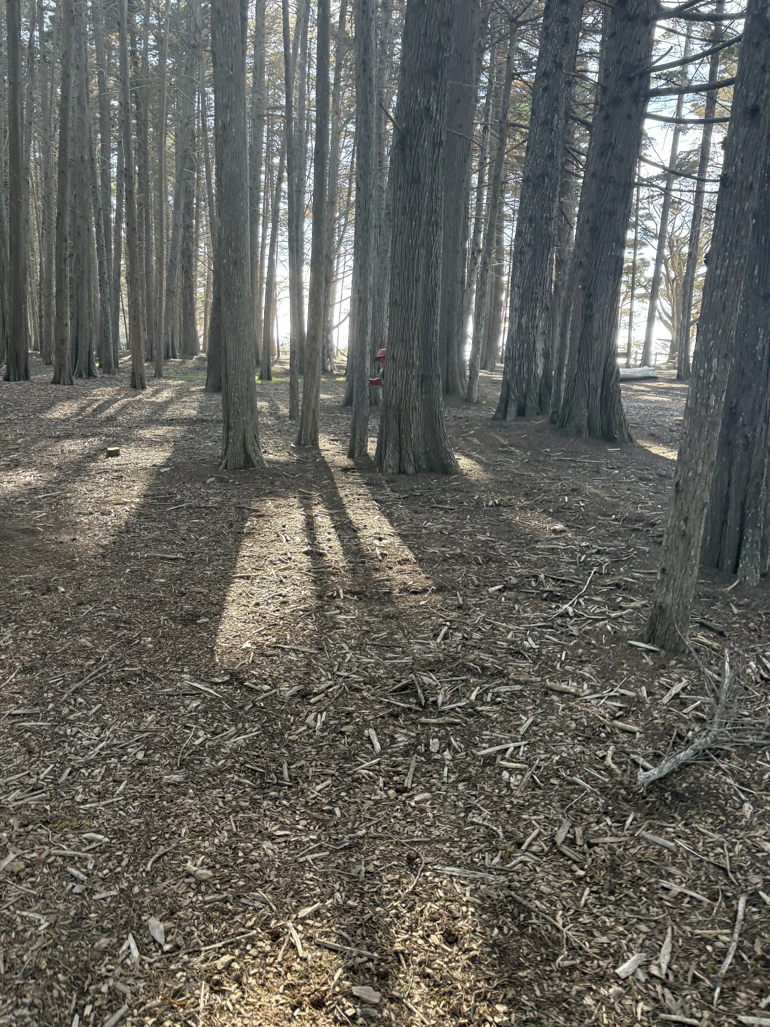 Training for 3 or More