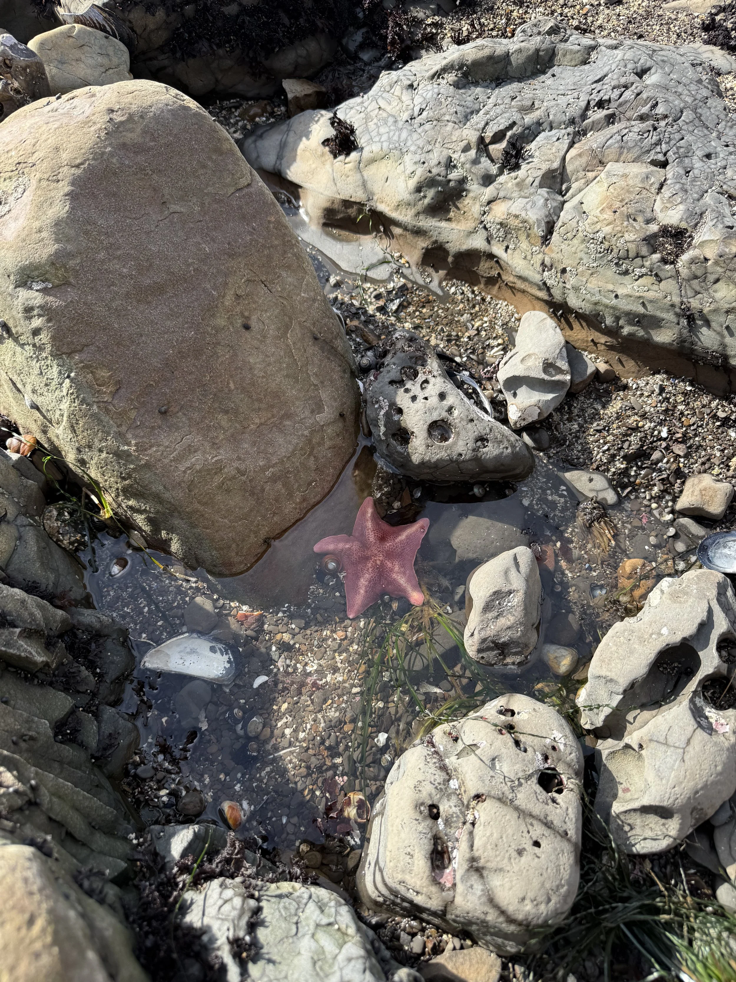 1:1 Private Training