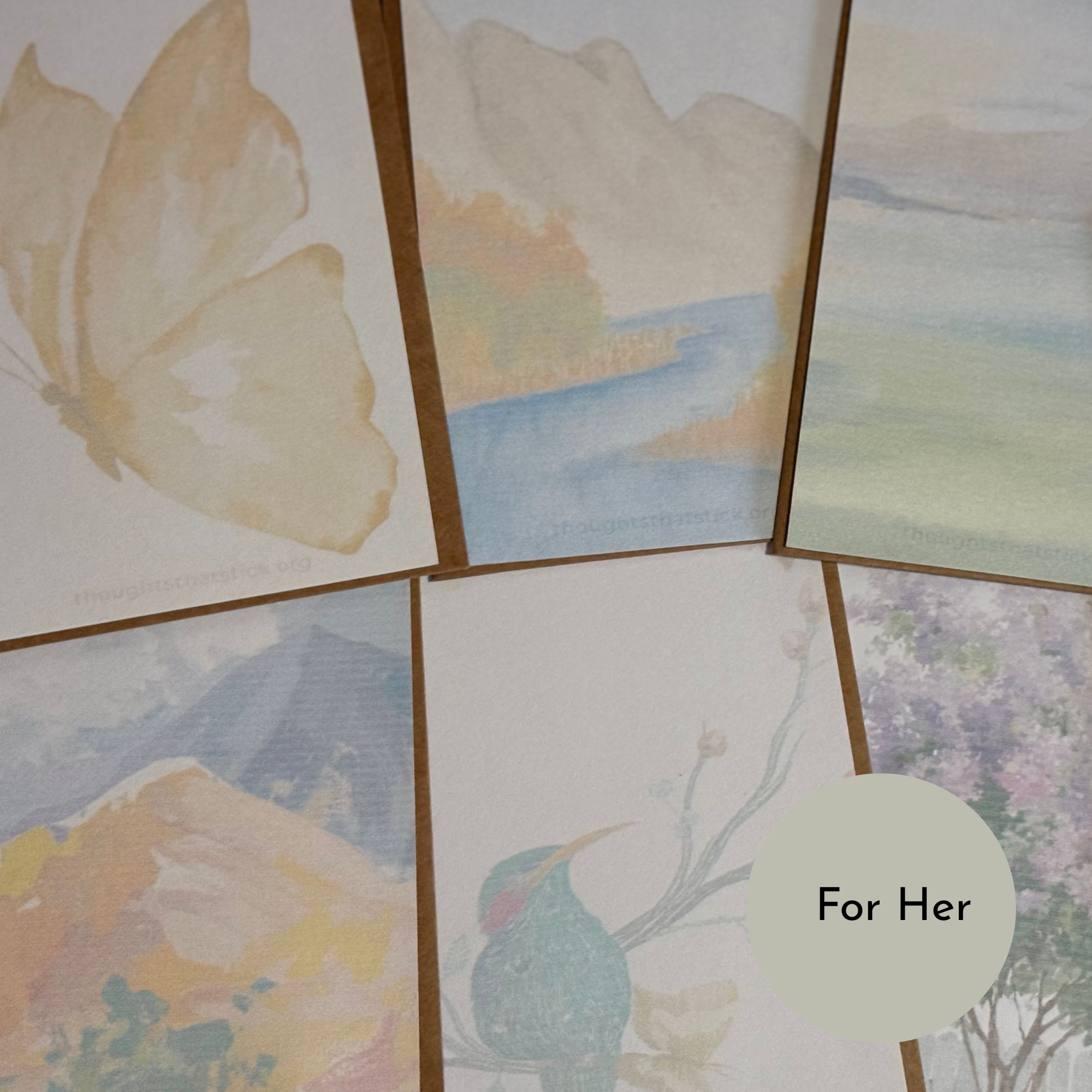 PTS Store Photos.png