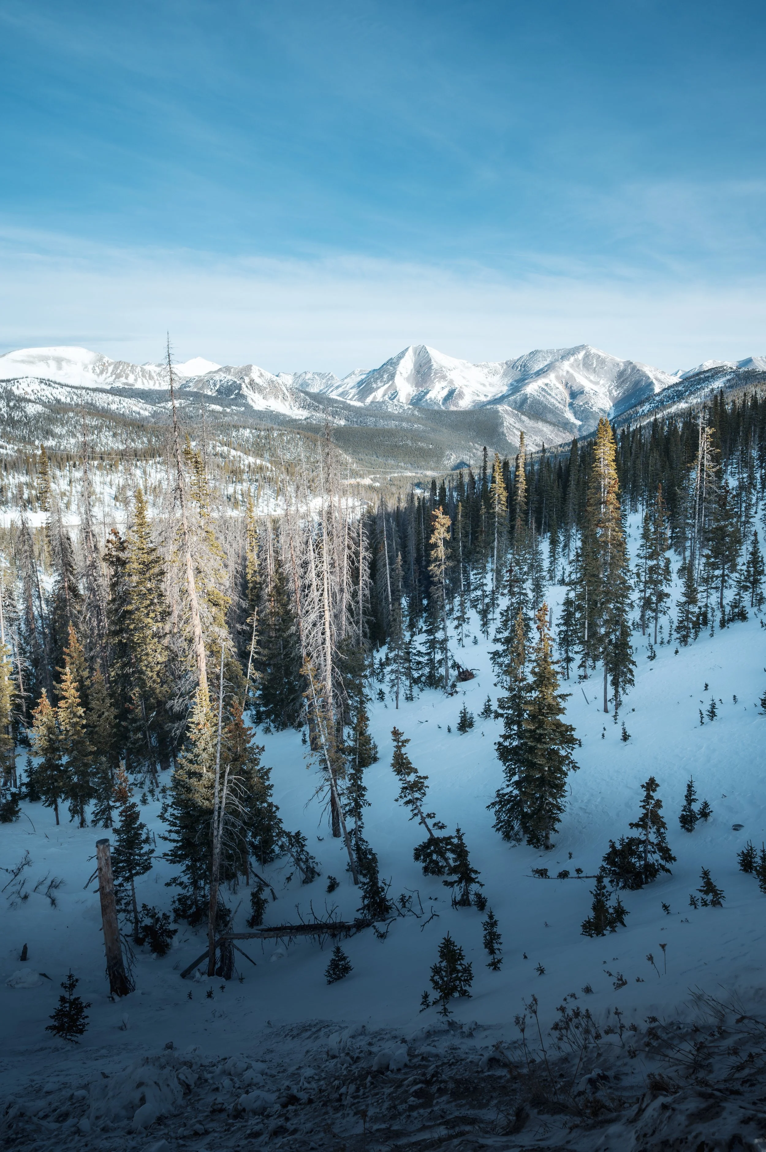 Grand Junction-3.jpg