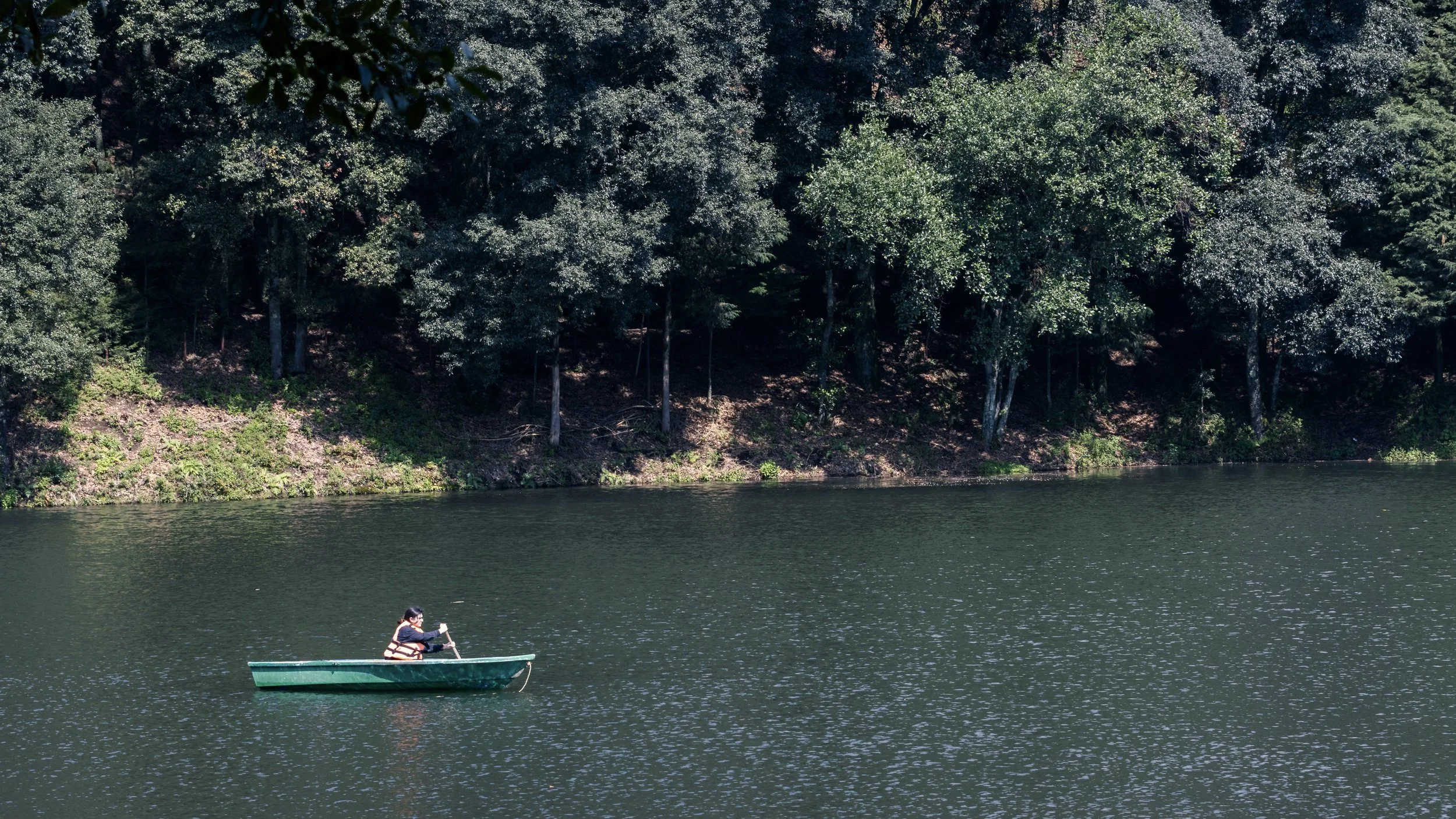 A woman in a rowboat on a lake.
