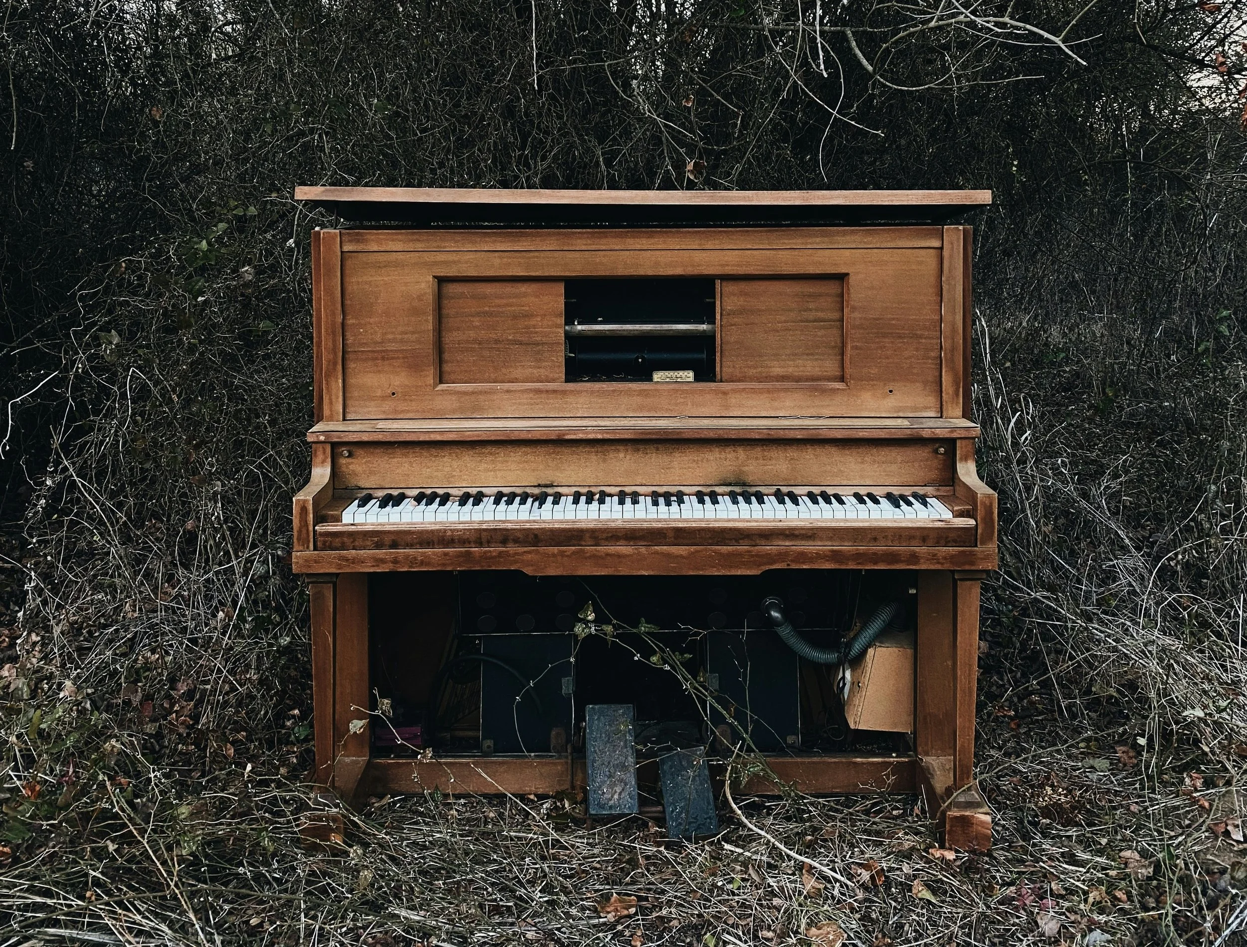 An old piano in a forest surrounded by bushes and trees.