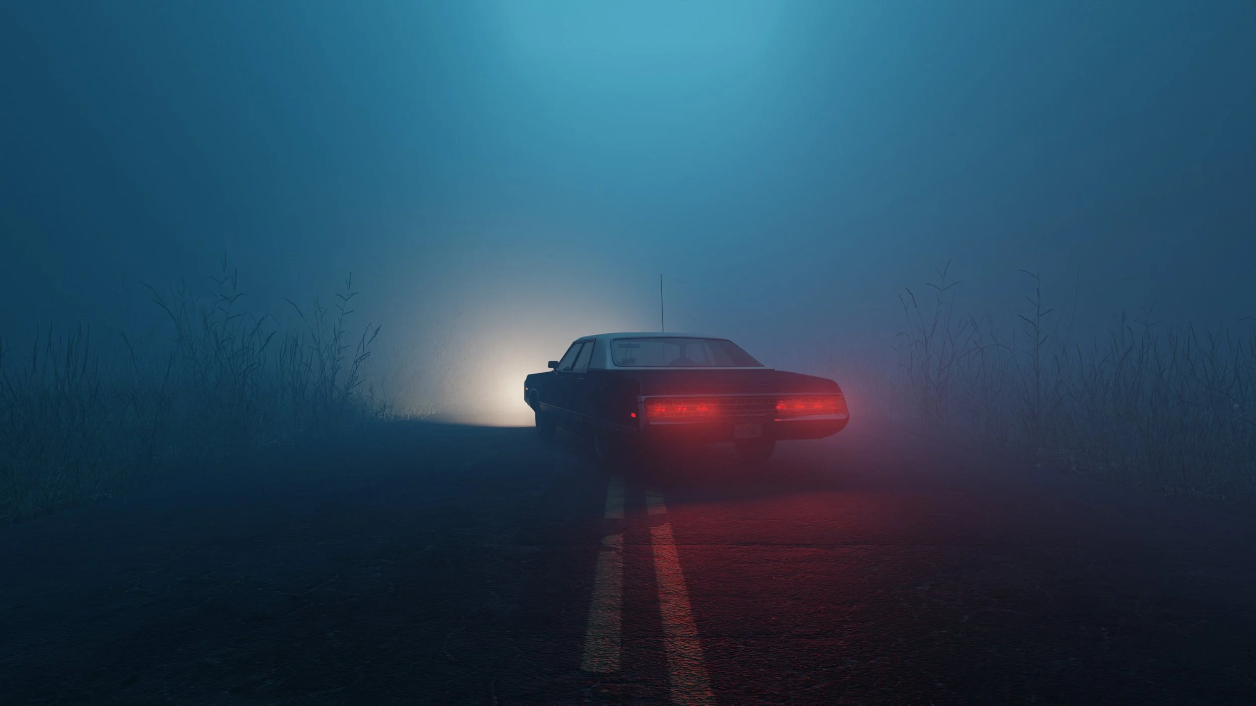 Car parked in middle of road in foggy moody forest during blue hour.