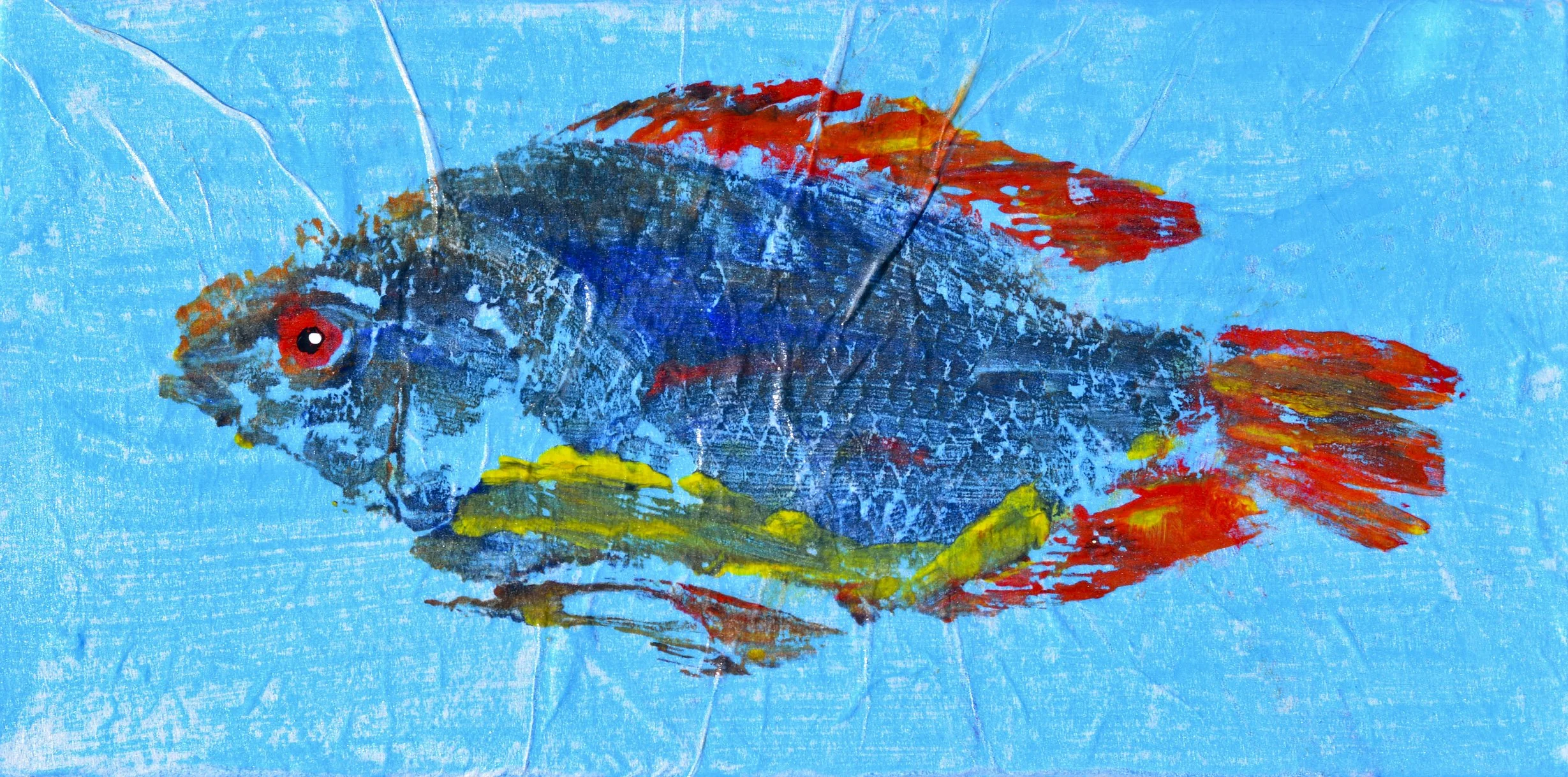 Gyotaku art - a fish imprint pressed on blue washi paper and painted with bright colors.