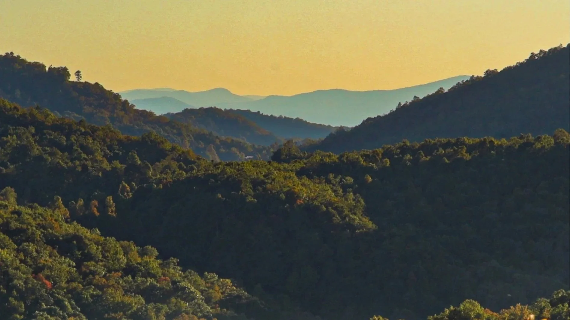 A view of the mountain skyline and sunset over the woods near Asheville, North Carolina.