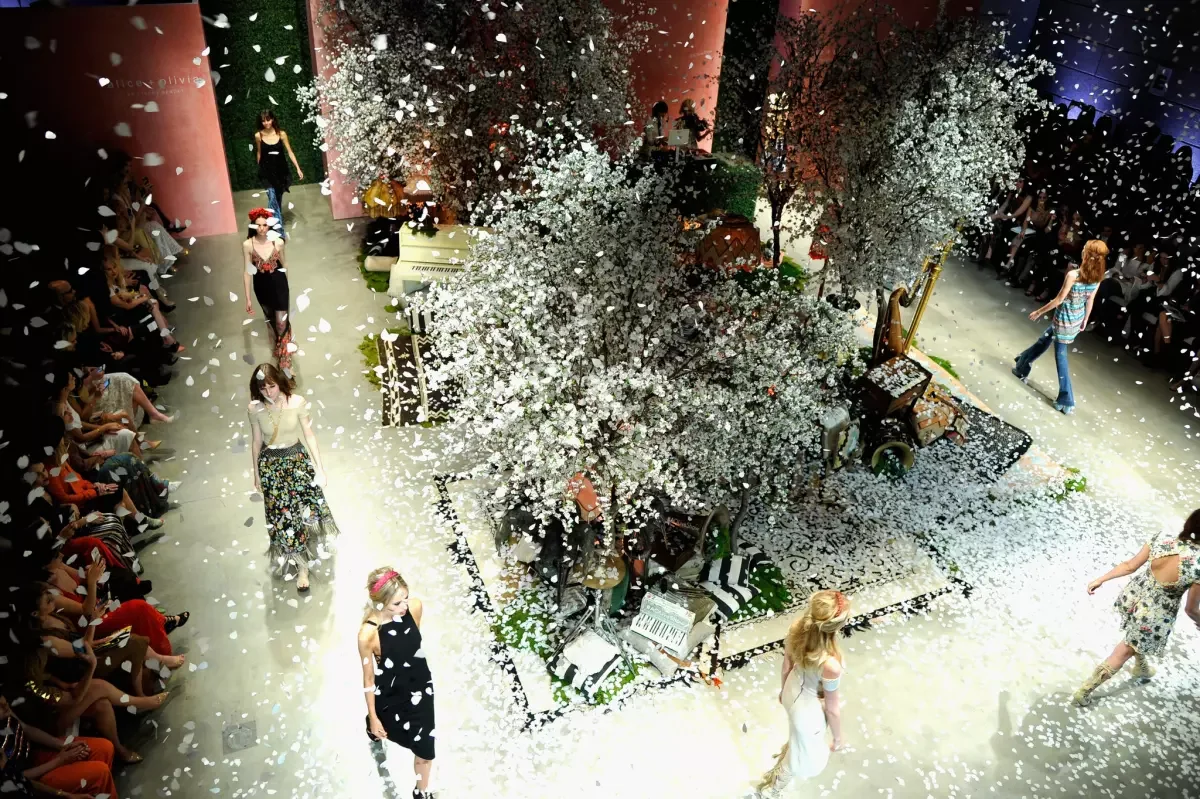 Alice & Olivia Special Projects