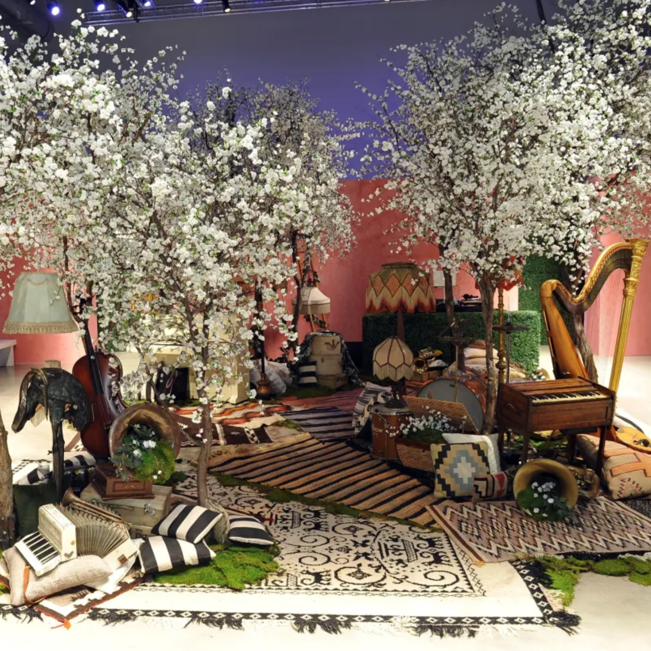 Alice & Olivia Special Projects