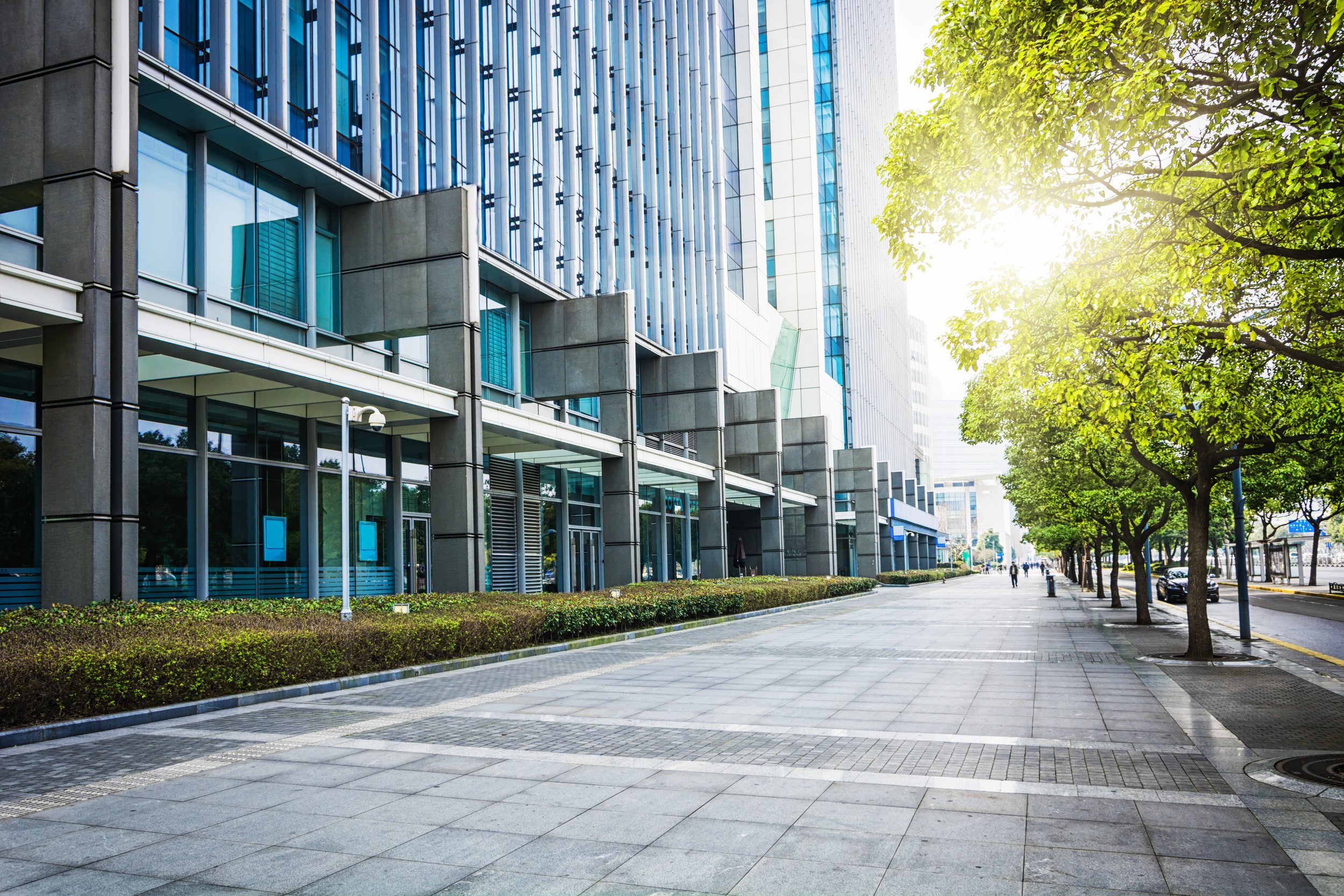 Empty city sidewalk lined with trees and modern office building with glass windows and concrete facade, sunlight shining through leaves.