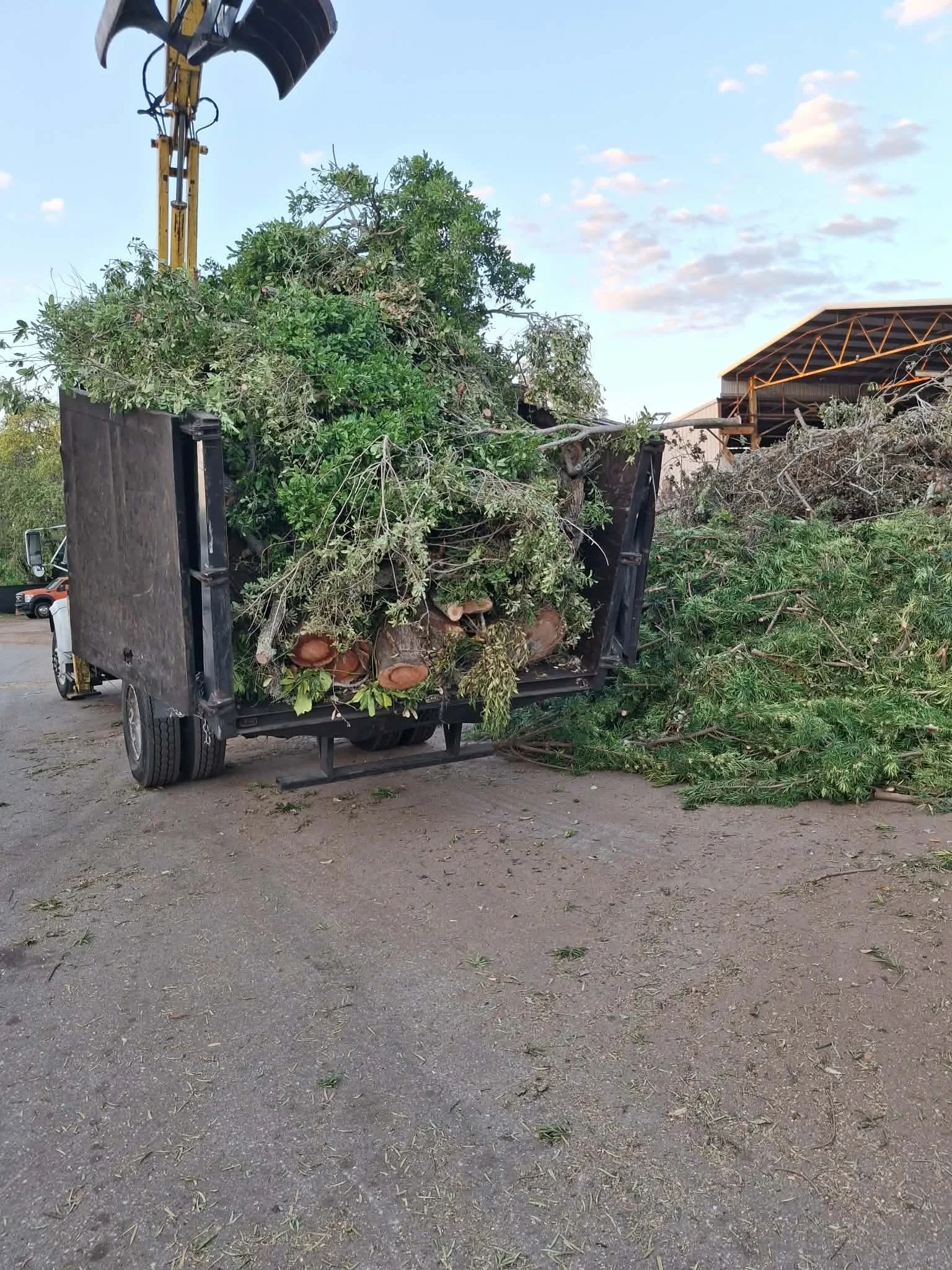 A truck filled with trimmed tree branches and logs parked on a dirt ground with another pile of branches beside it, under a partly cloudy sky.