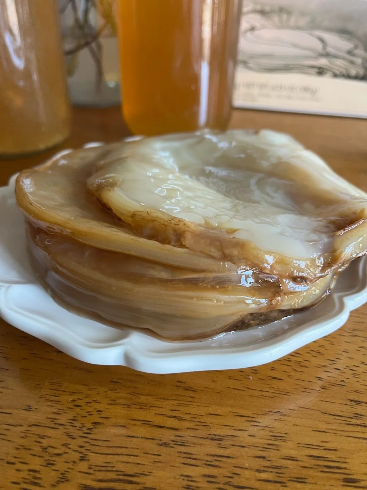 A Kombucha scoby