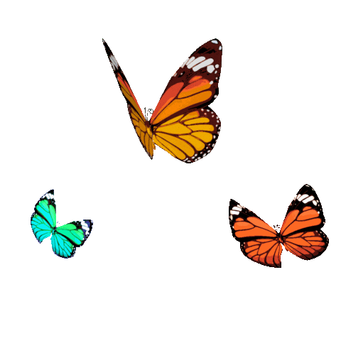 Three butterflies, one orange and black, one yellow and black, and one green and black, flying against a brown background.