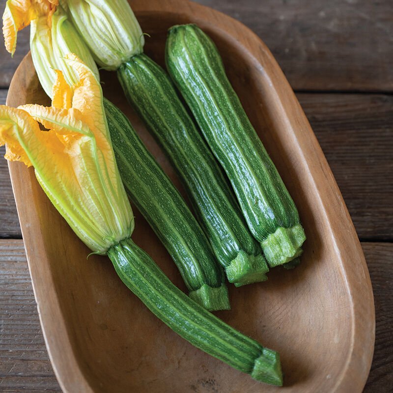 zucchini.jpg (Copy)