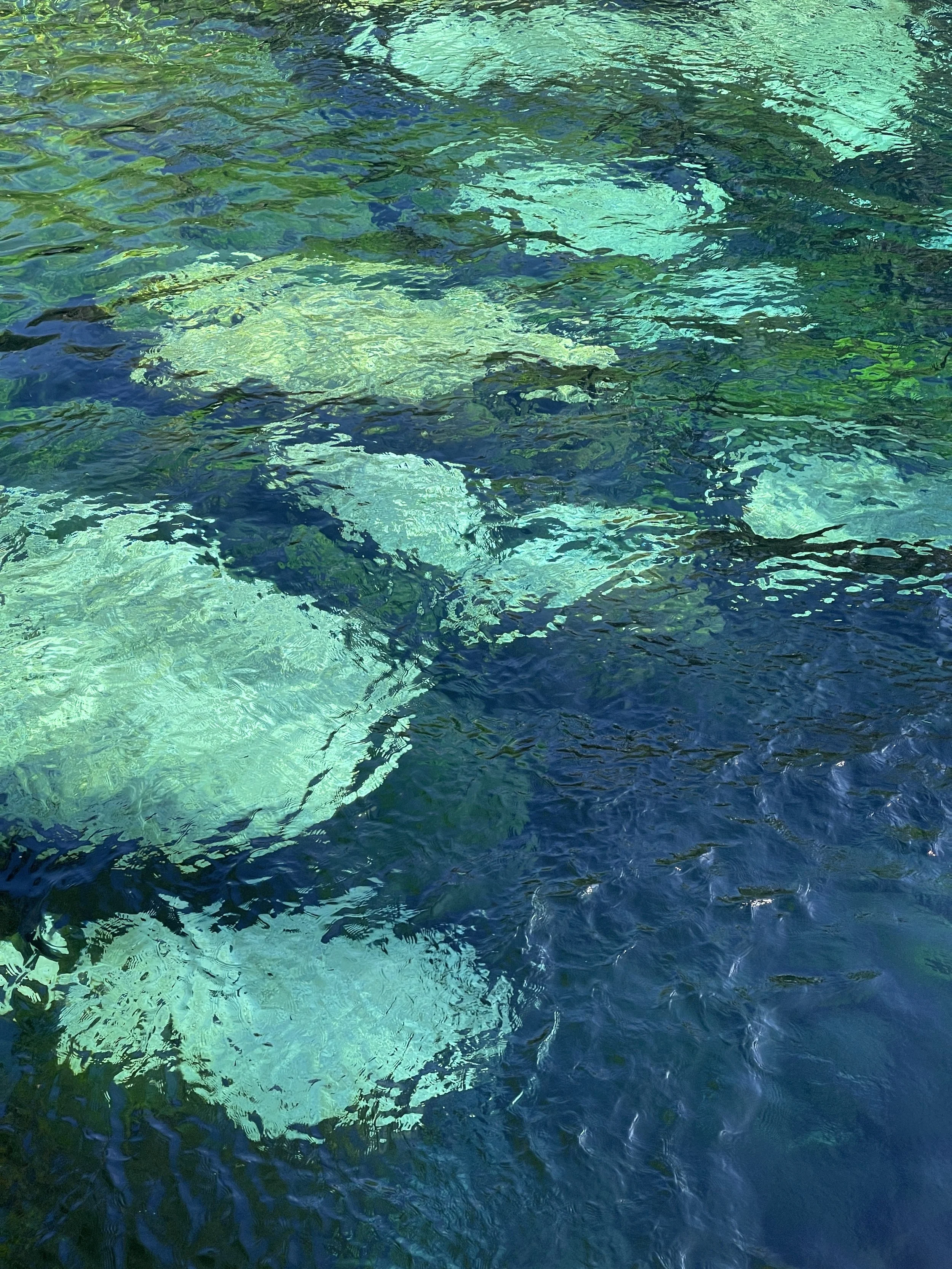 movement can fix a broken heart