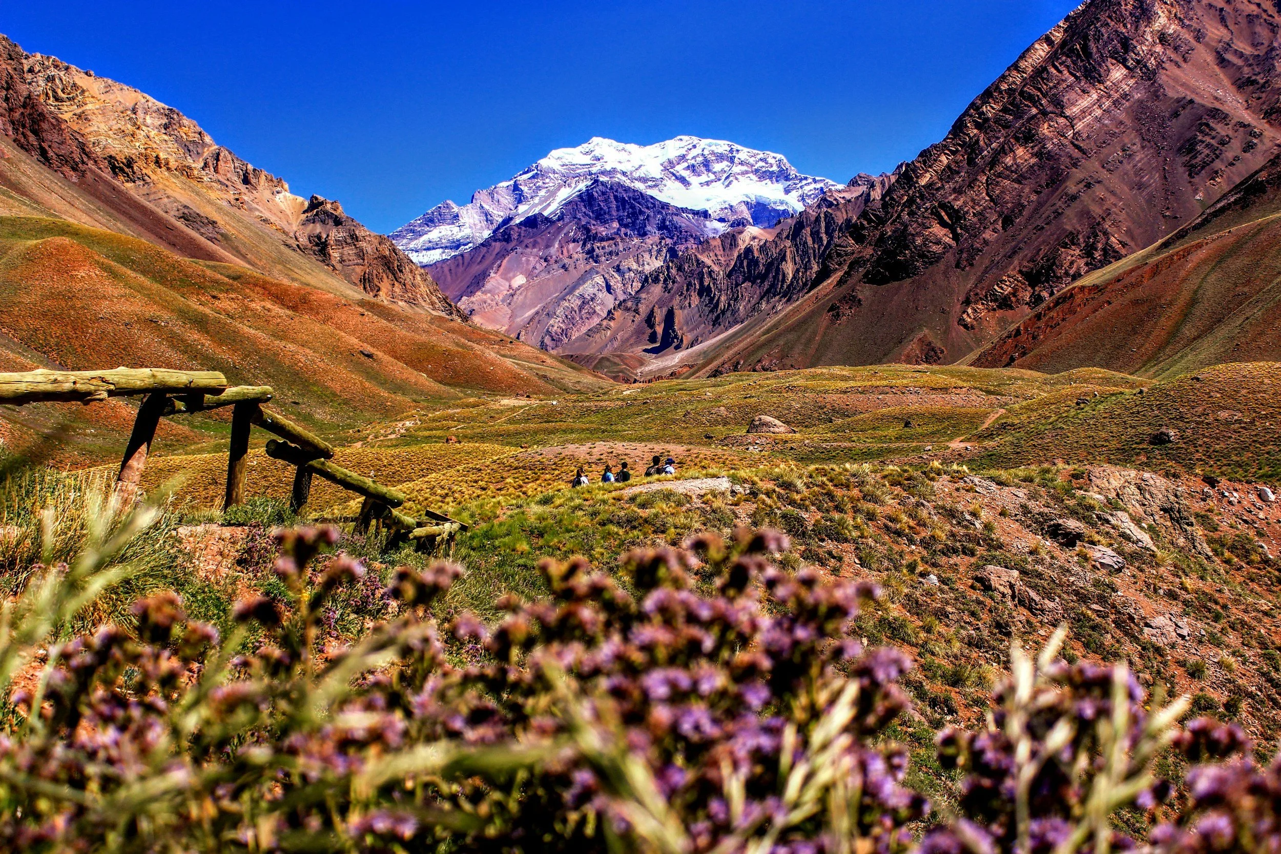 Snow-capped mountain peak in a rugged, colorful valley with a clear blue sky, green and reddish-brown hills, and a group of hikers walking along a trail.