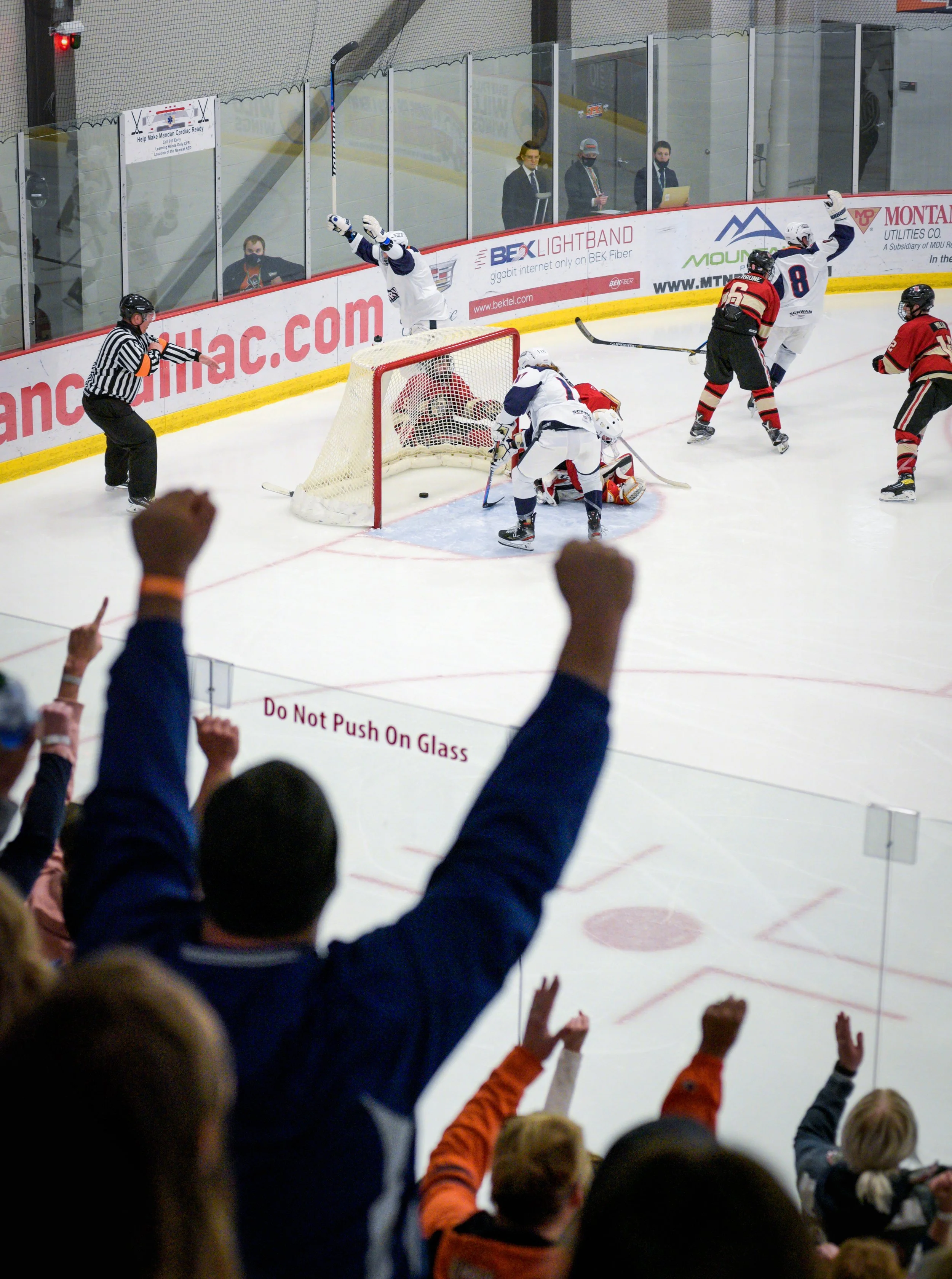 Hockey players celebrate after a goal during a game, with fans cheering in the foreground and a referee on the ice.