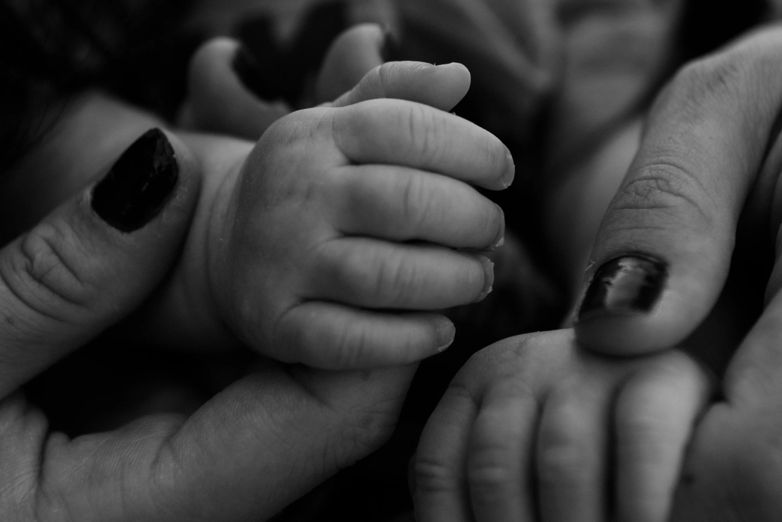 Close-up of a tiny baby hand holding an adult's finger.