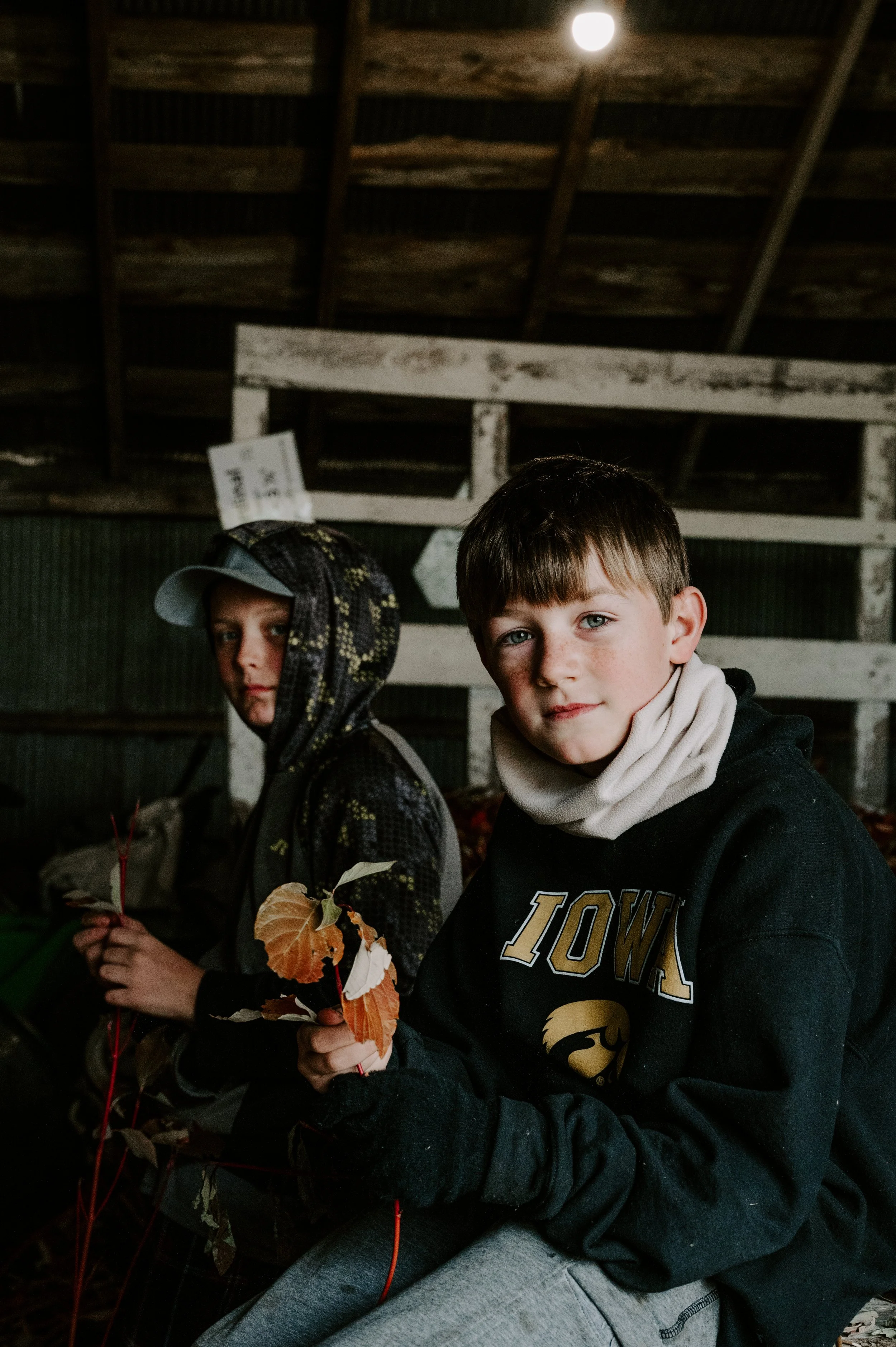 branches (4 of 13).jpg