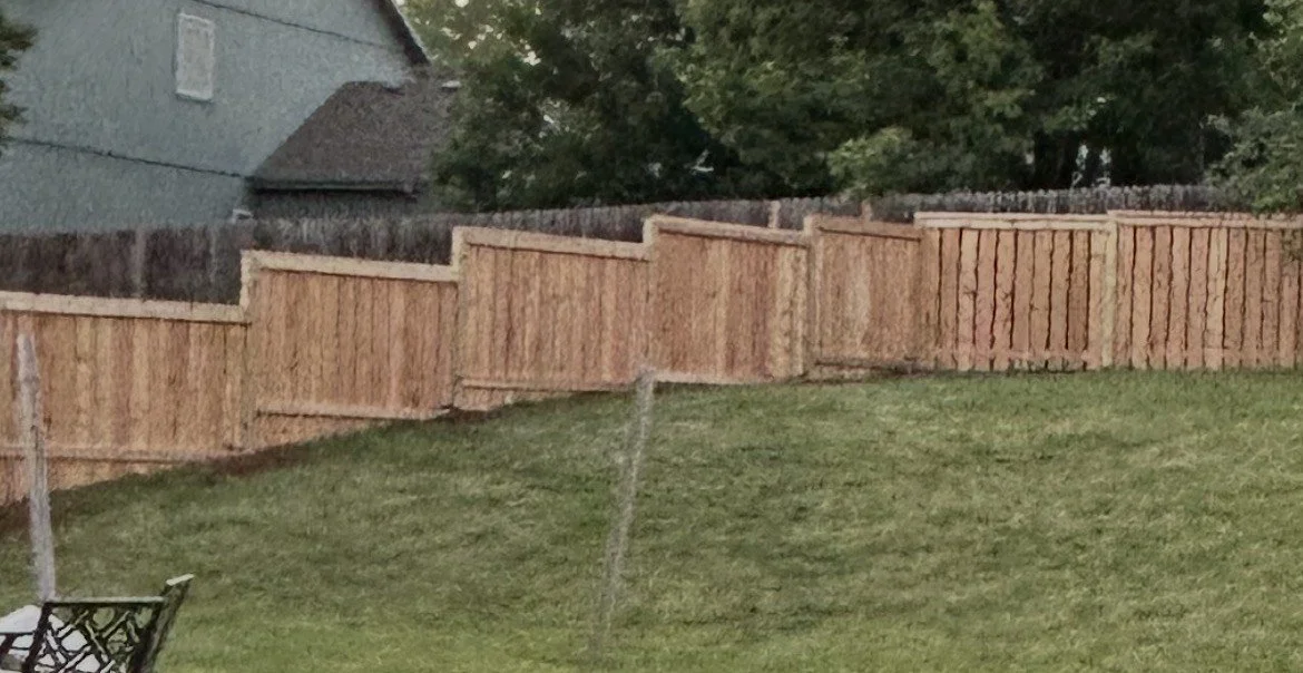 A backyard with a lawn, a wooden fence, and some trees in the background. There is a portion of a chair or bench visible in the bottom left corner.