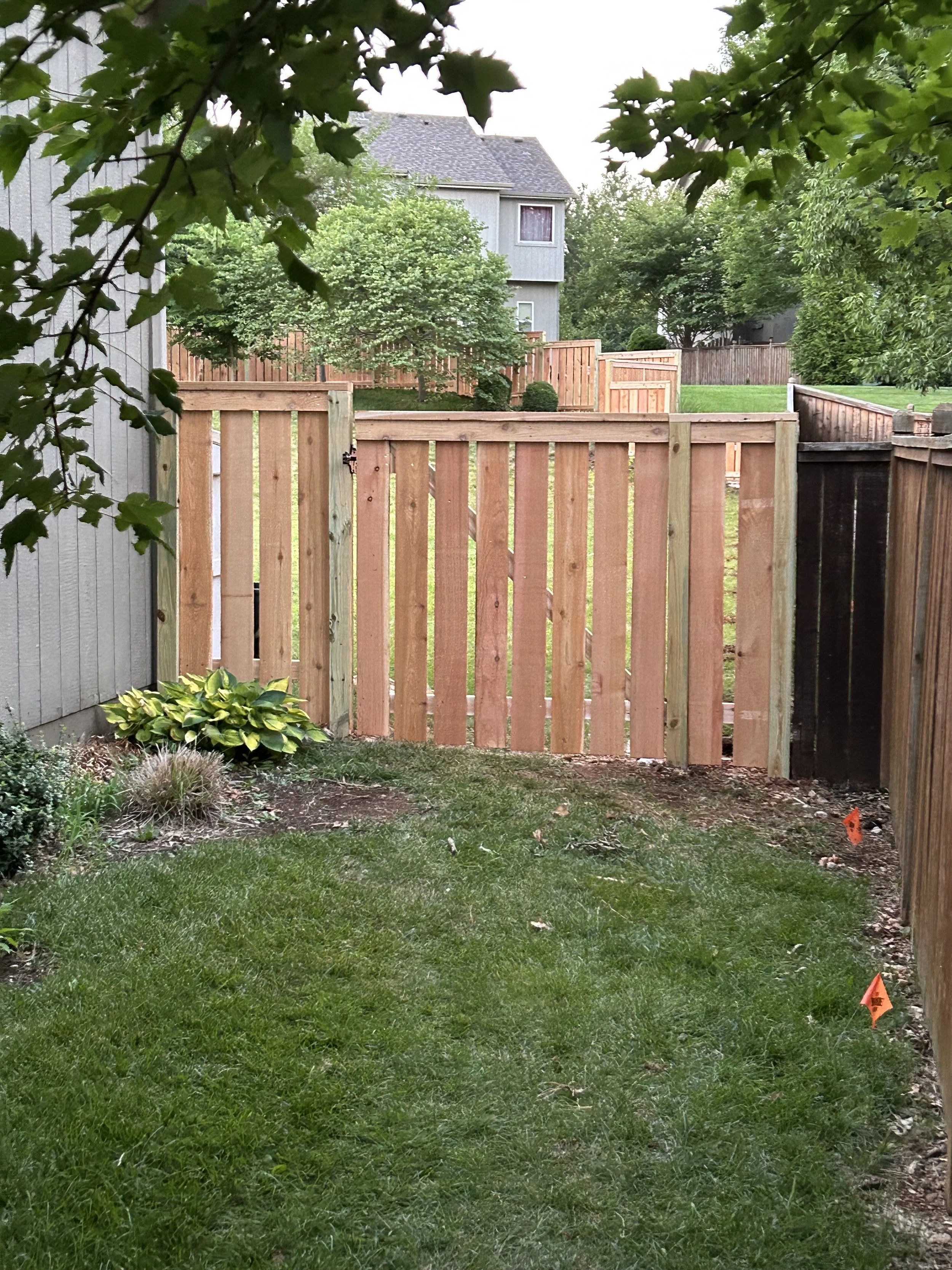 A backyard with a newly built wooden fence, green grass, plants, trees, and a neighboring house in the background.