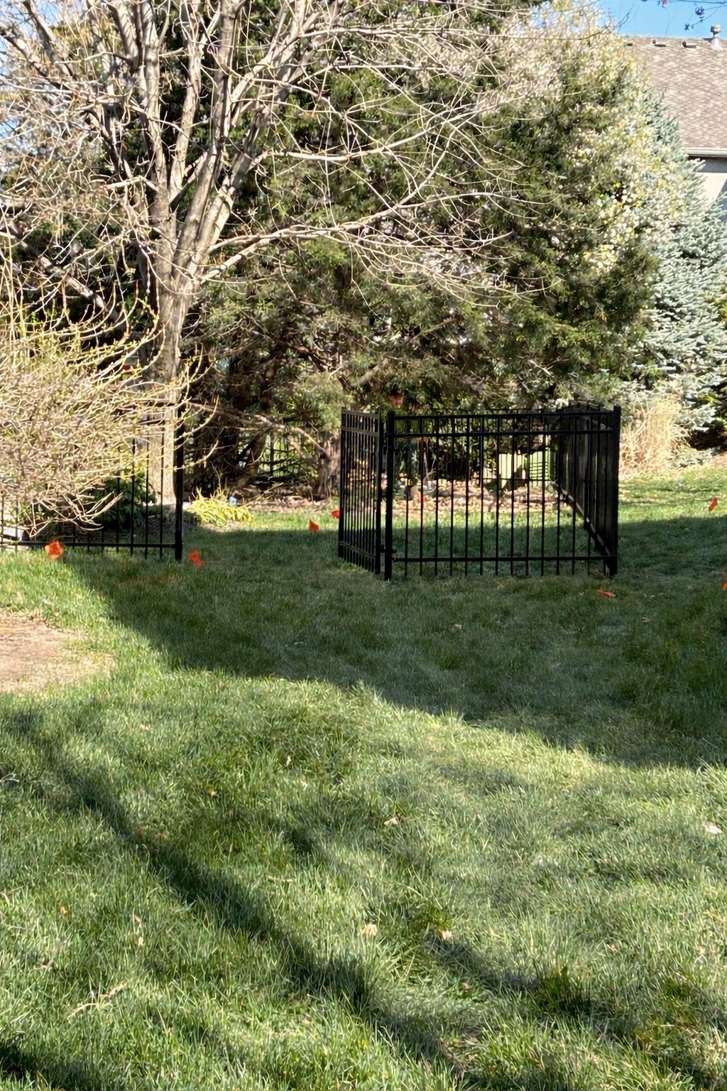 A backyard with green grass, a tree, and a black metal fence surrounding a small patch of dirt.