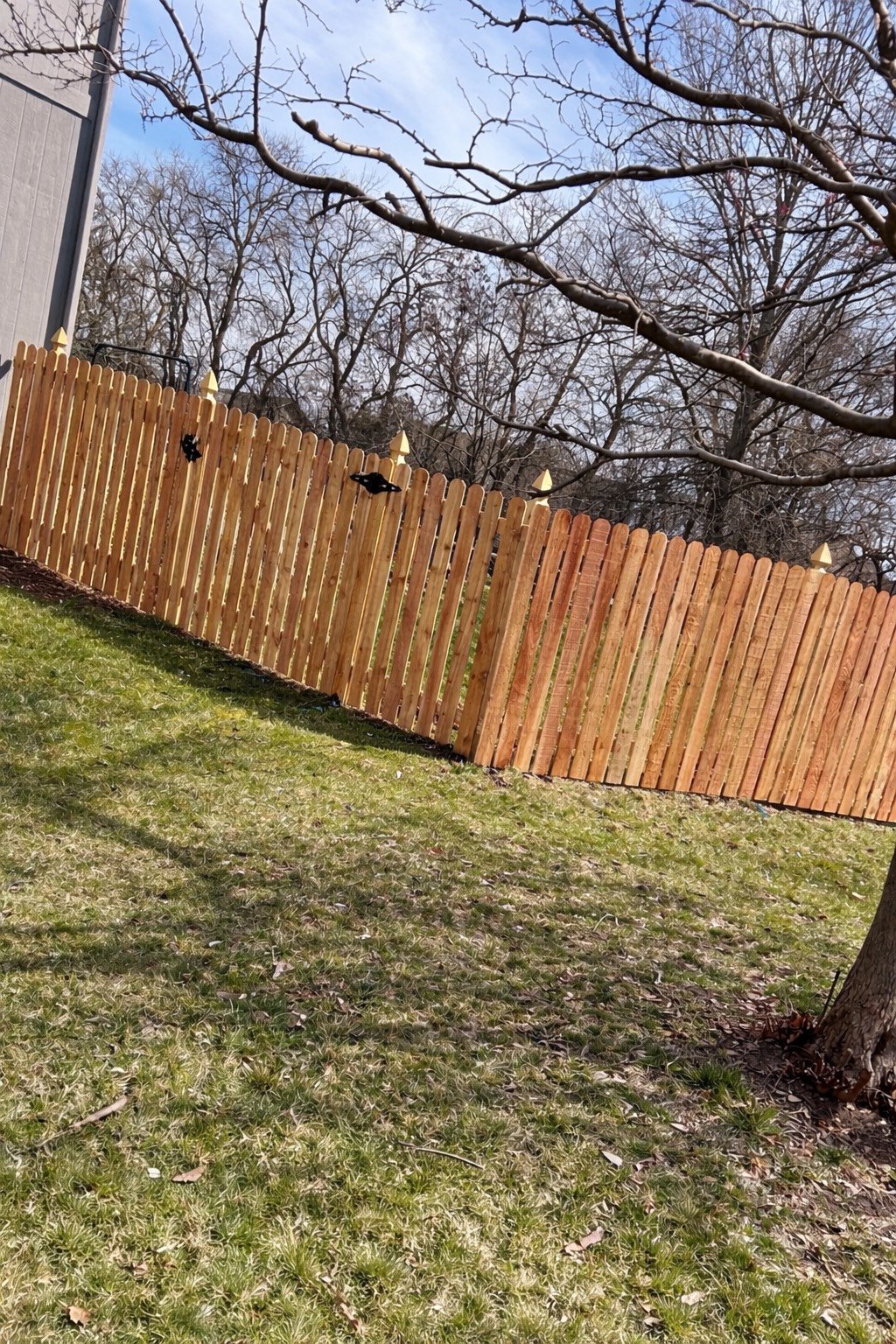 A backyard with a wooden fence, grass, and leafless trees, under a partly cloudy sky.