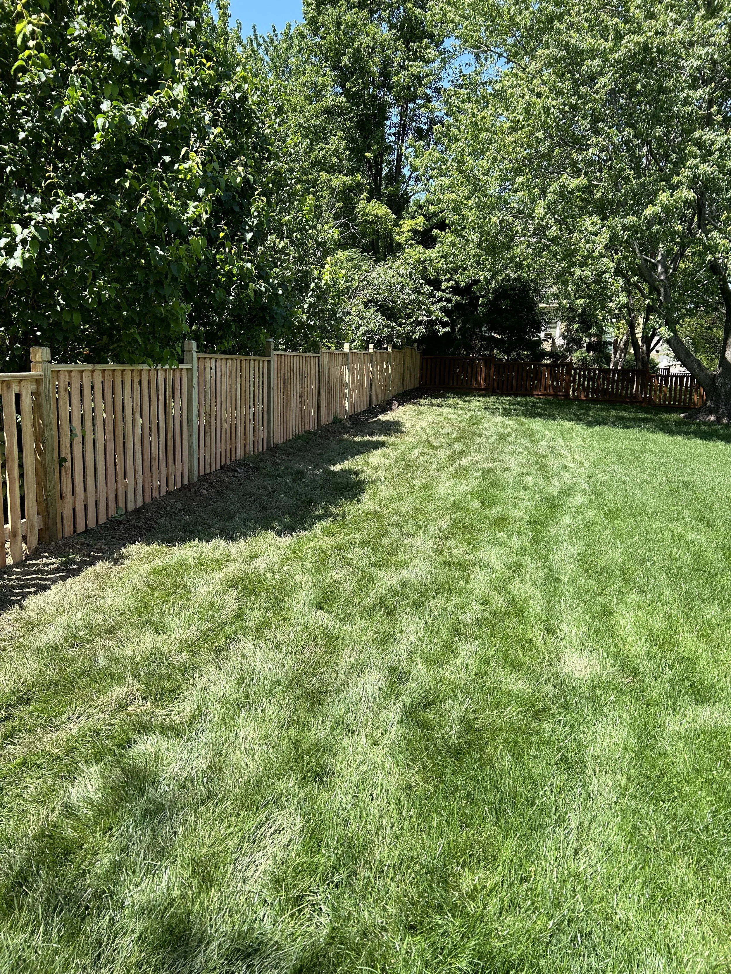 A lush green backyard with a wooden fence, trees, and a well-maintained lawn under a clear blue sky.