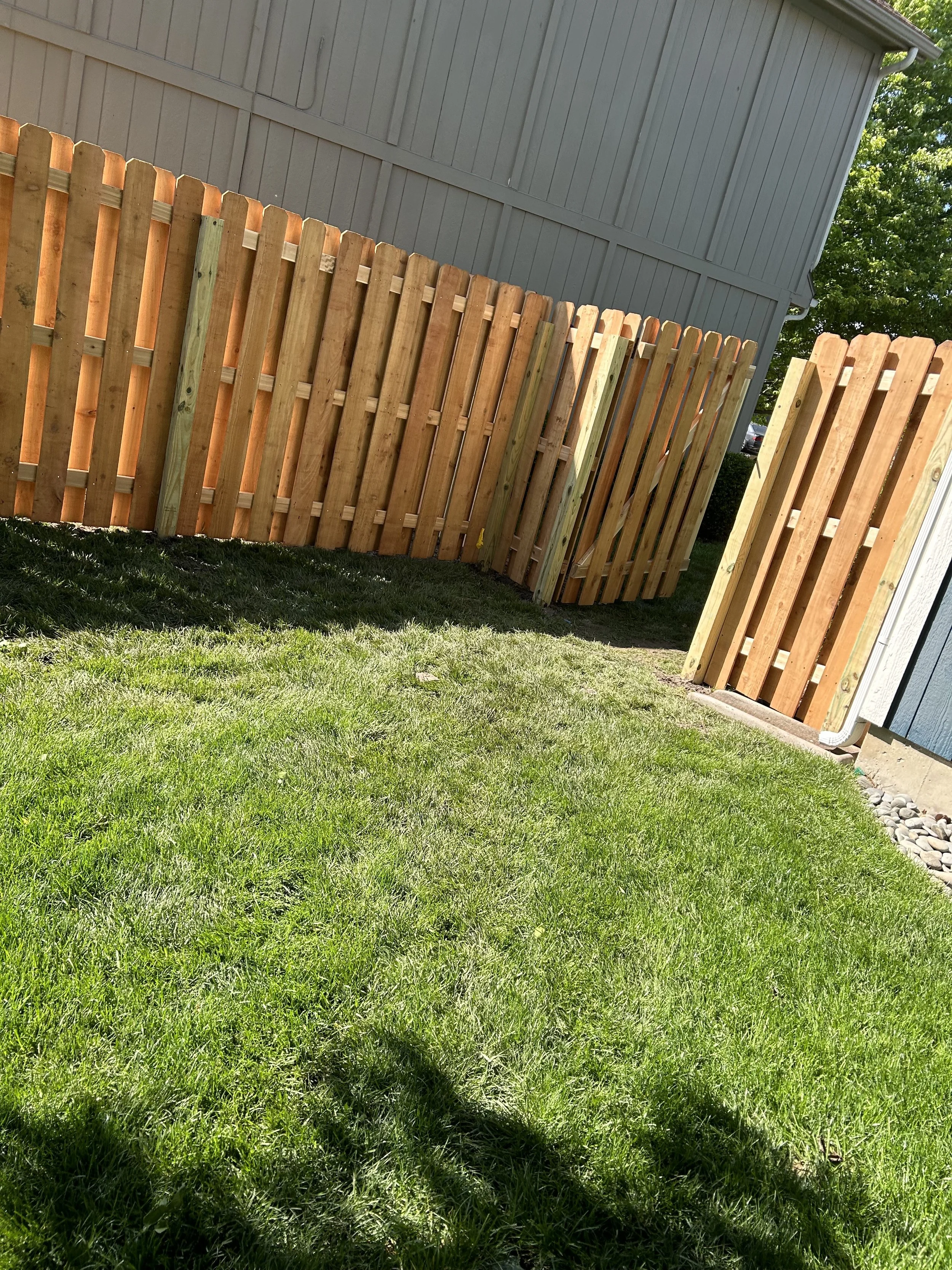 A backyard with a new wooden fence and a gray house in the background, with green grass and some shadows.