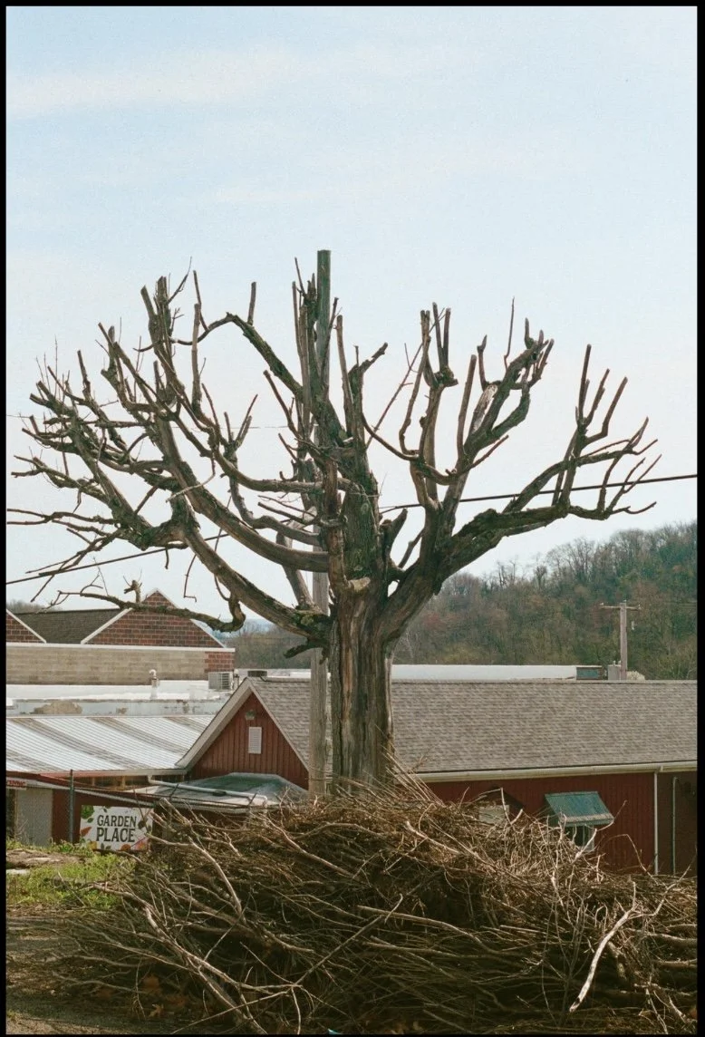 Untitled design-10.jpg