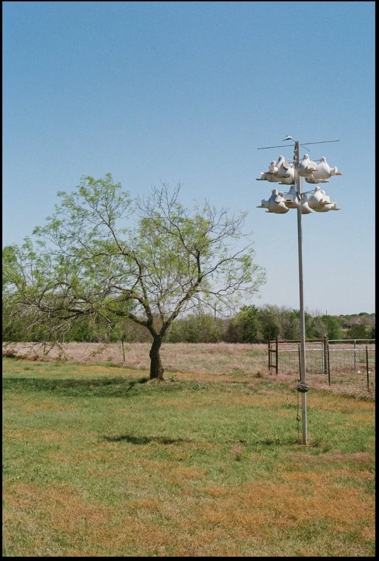 Untitled design-33.jpg