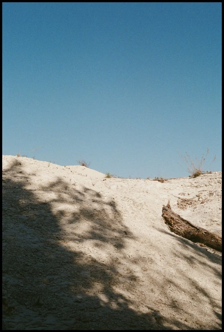 Untitled design-30.jpg