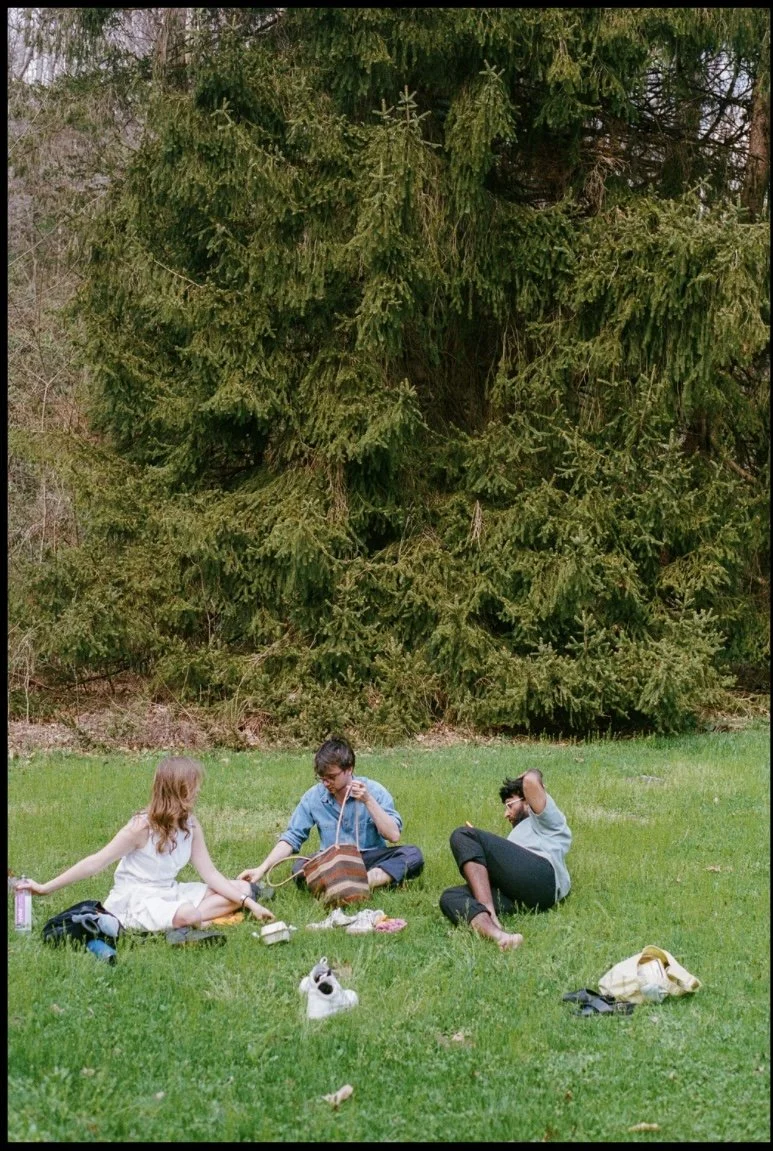 Untitled design-16.jpg