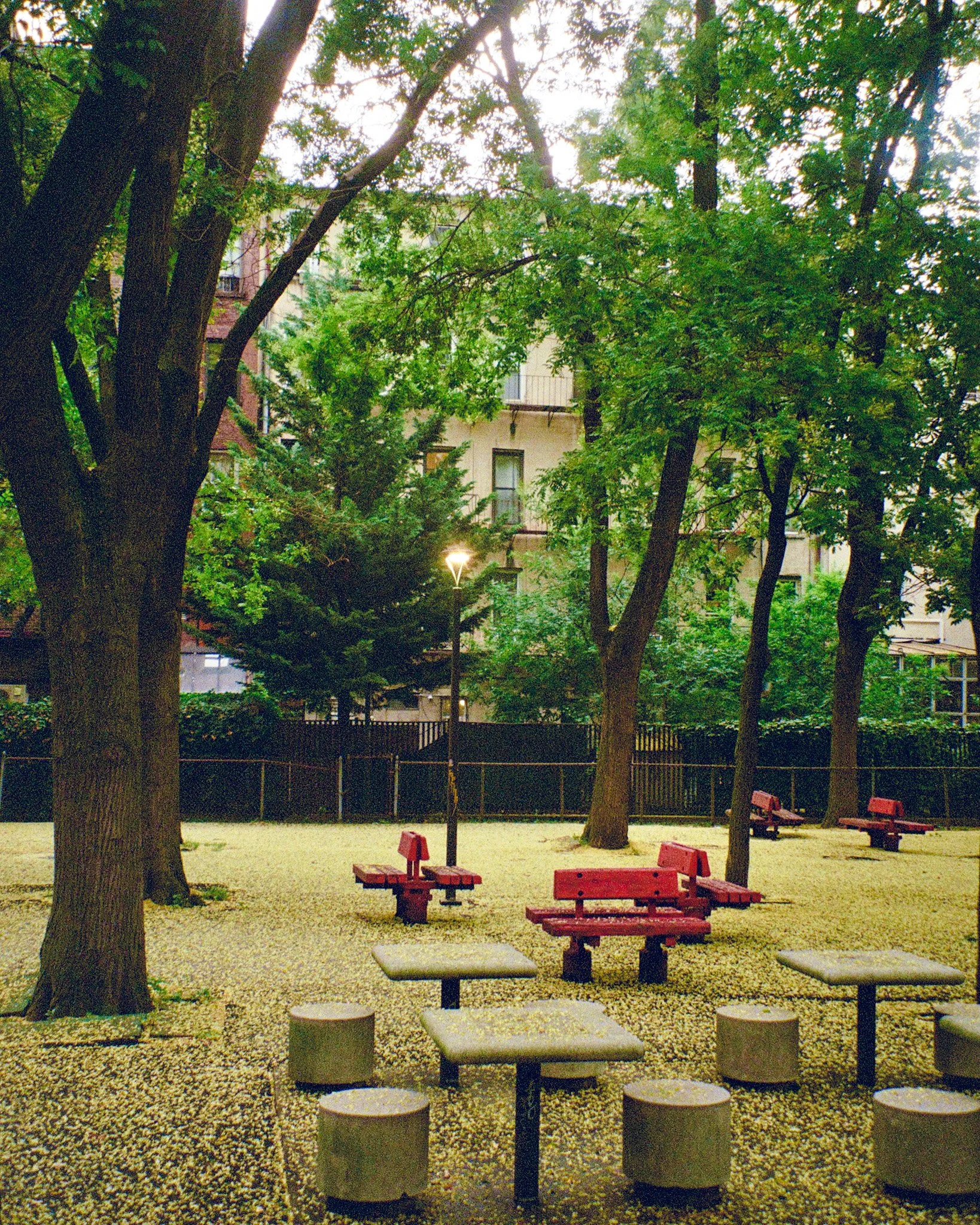 1602A61F-68F6-4684-8BB8-5AF21C51FA77 2.jpg