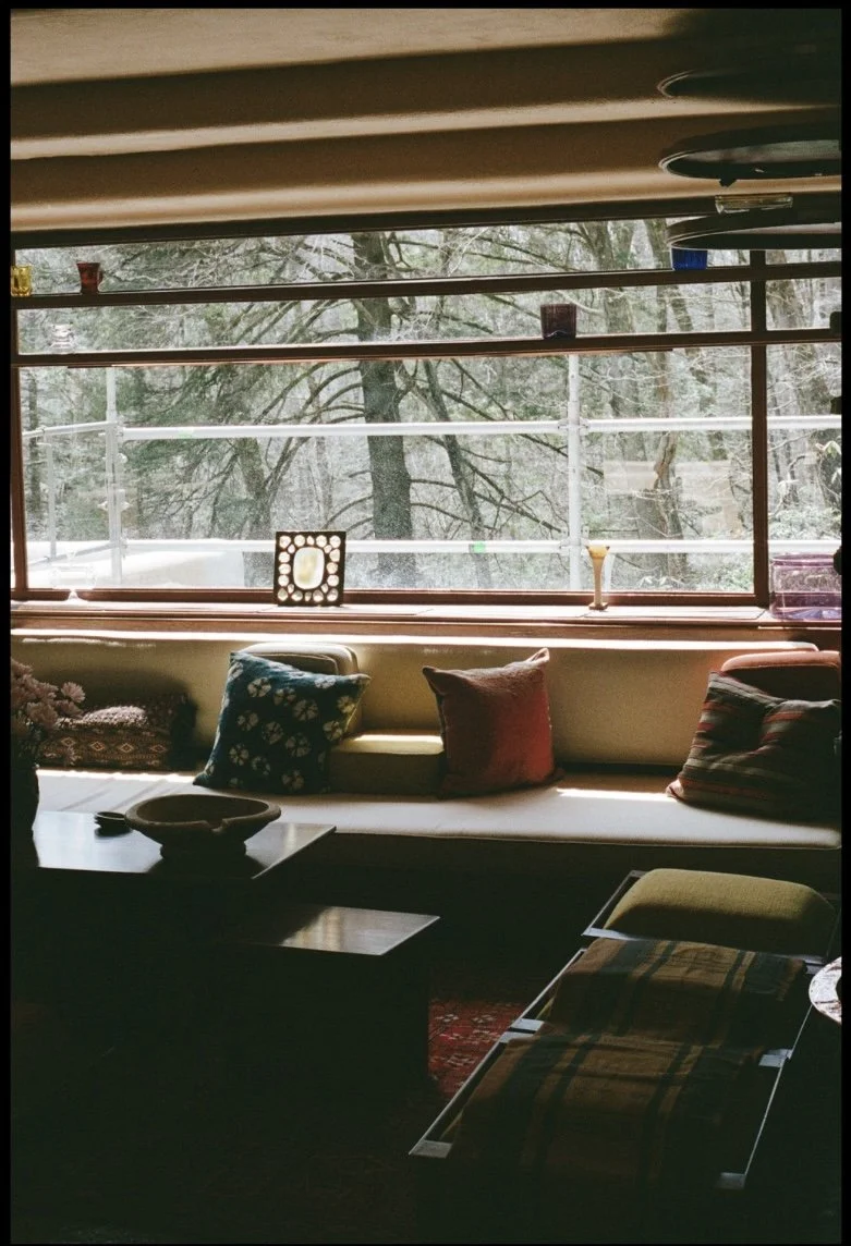 Untitled design-12.jpg