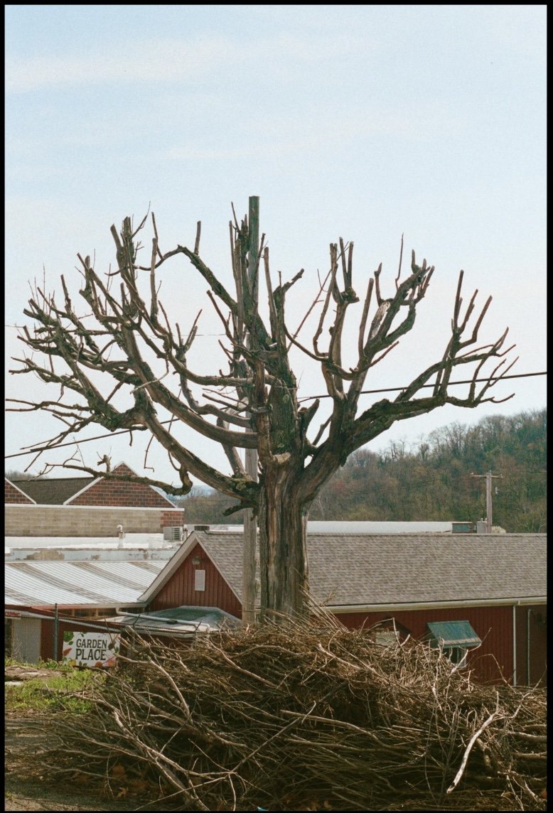 Untitled design-10.jpg