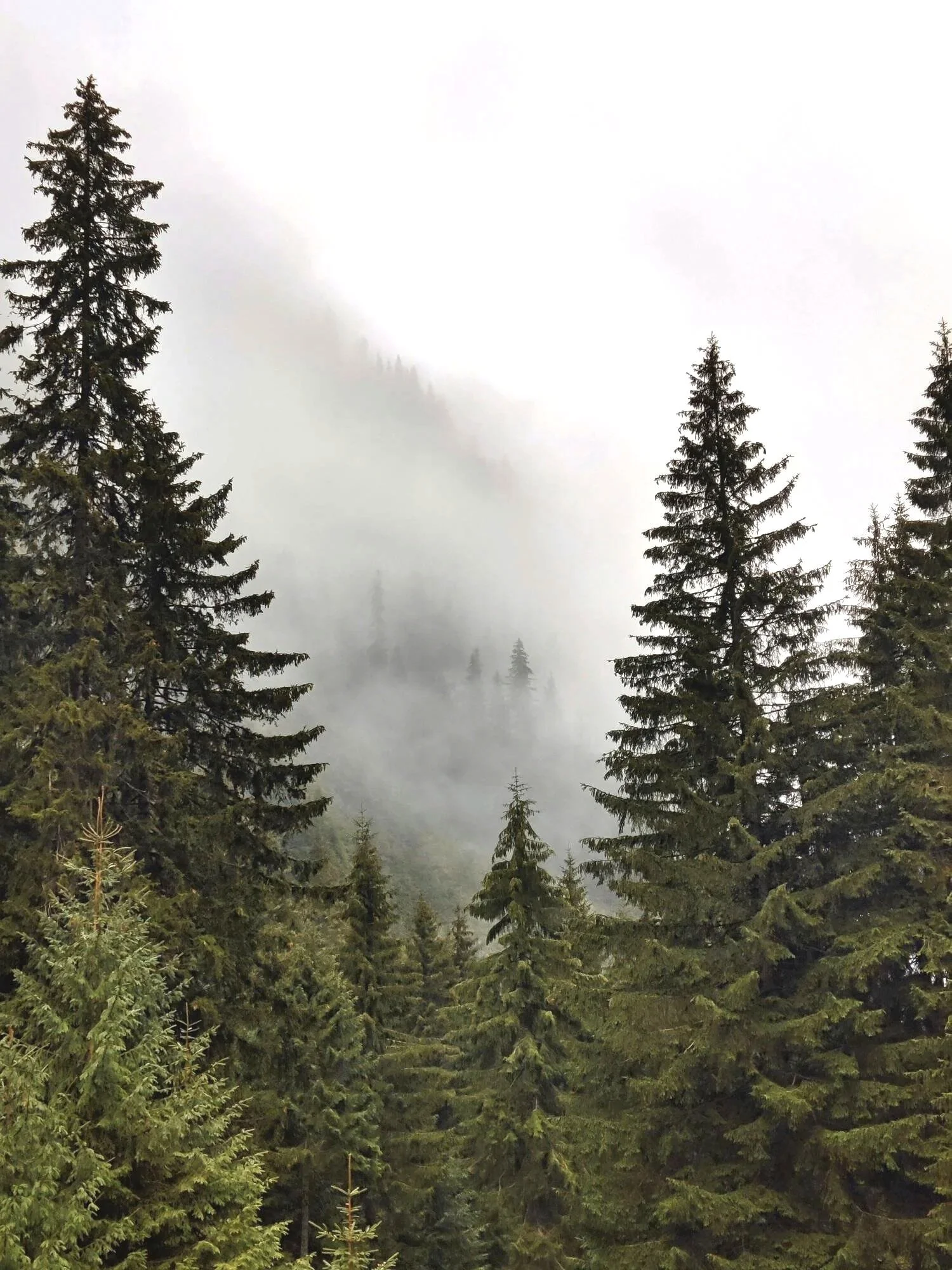 Gennix employee working on a laptop and taking notes while delivering managed IT services for law firms in Vancouver
