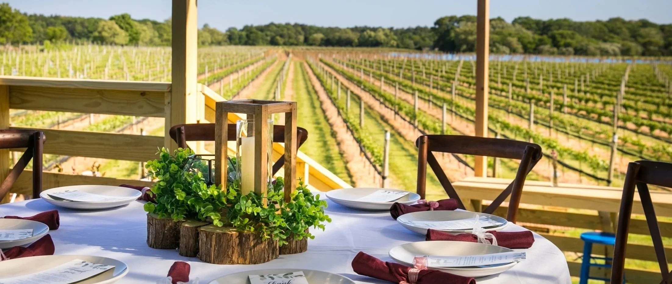 A neatly set dining table with plates and a wooden lantern centrepiece sits on a vineyard terrace, overlooking orderly rows of grapevines stretching into the sunlit landscape.