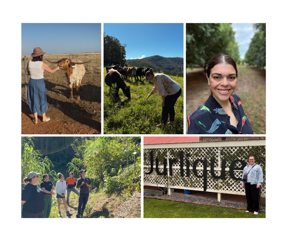Making Agritourism Work. Insights from 10+ Years Supporting Australian Farms.
