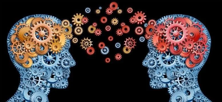 Stop Fighting Your Team’s Brain Types, Start Using Them