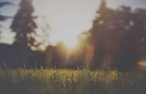 Active Breaks – The Secret to Productivity