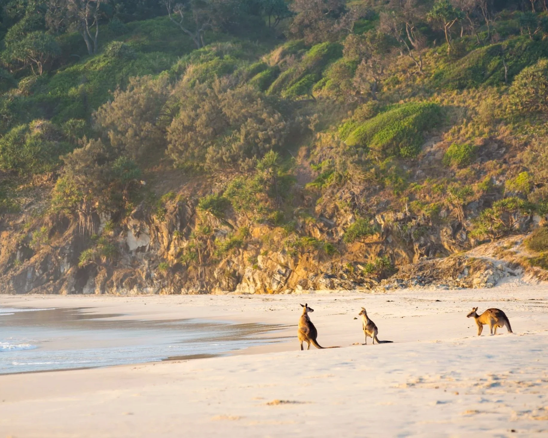 Activating Regional Tourism Through New Visitor Experiences