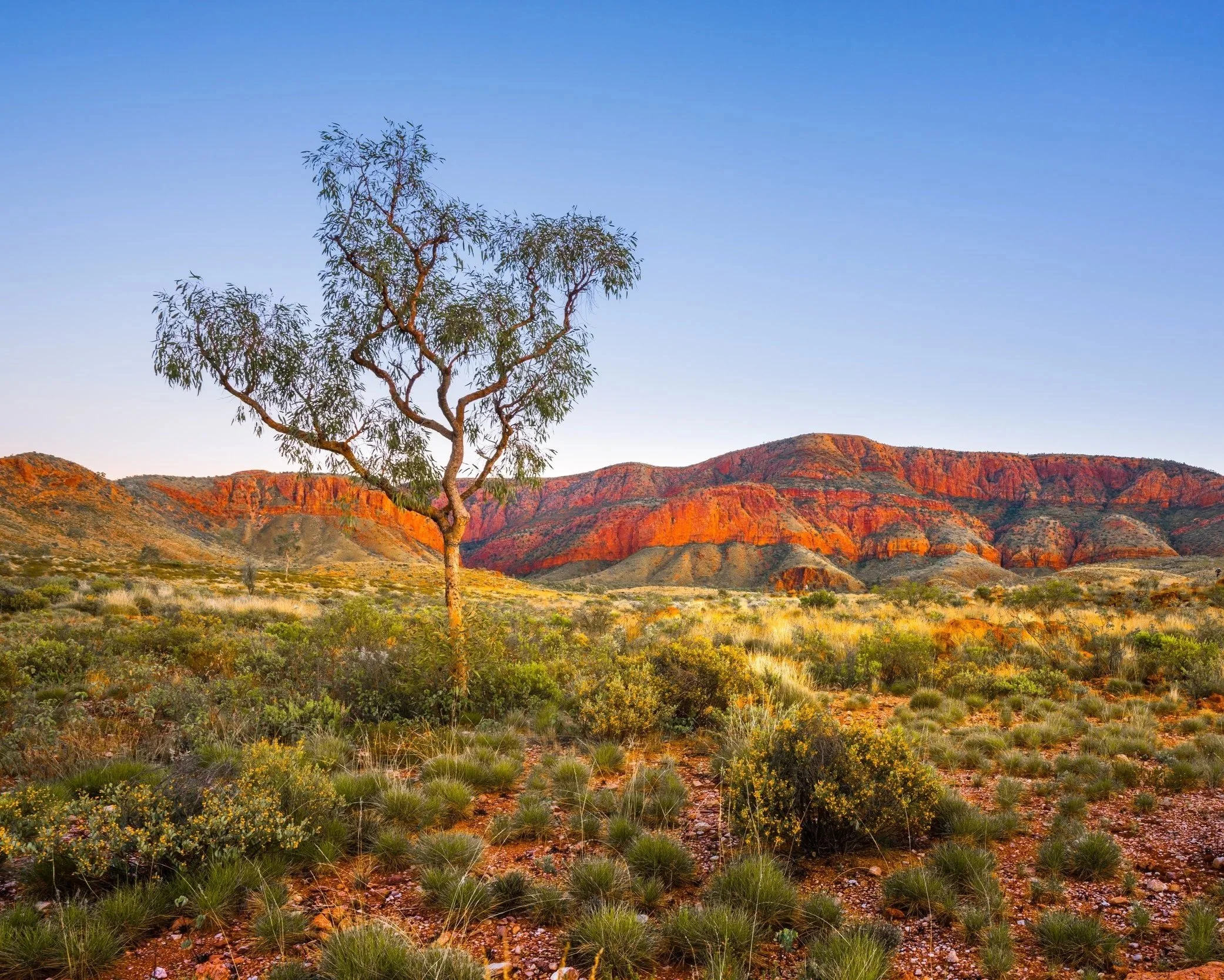 Strengthening community connection through Aboriginal Initiatives program evaluation