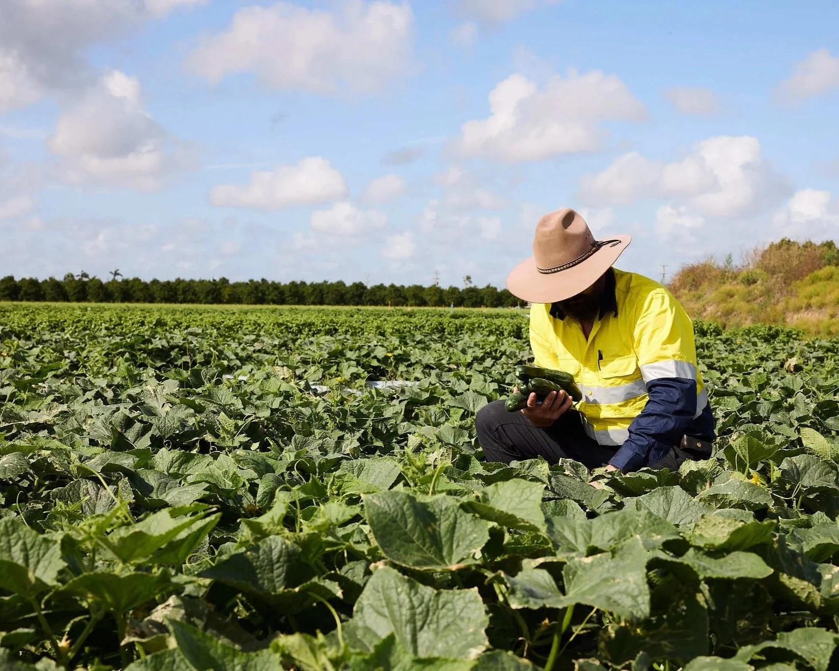 A multi-generational strategic legacy