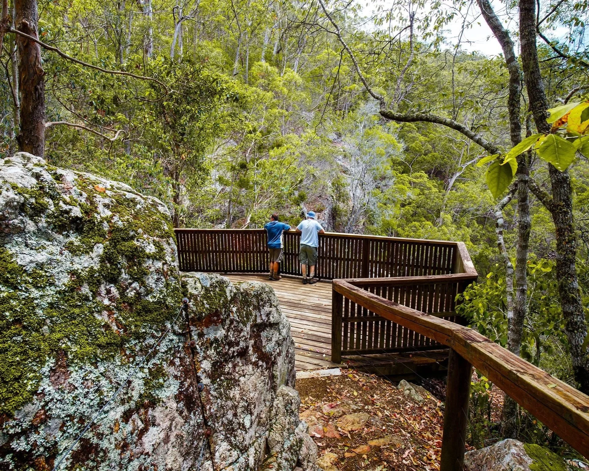 Ensuring accessibility in Queensland national parks